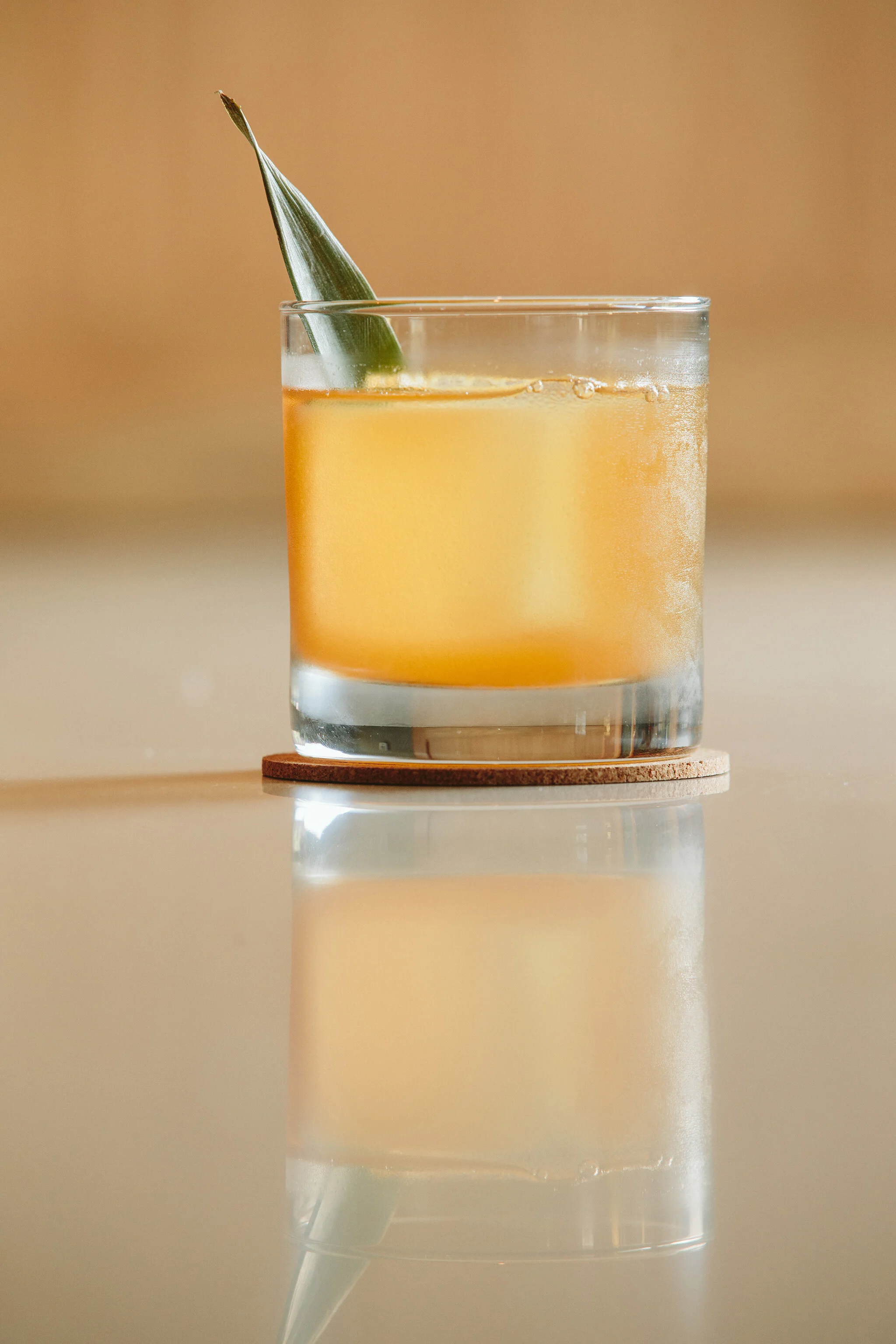 CHICKADEE_BRIAN SAMUELS PHOTOGRAPHY_JULY 2021-0803 copy.jpg