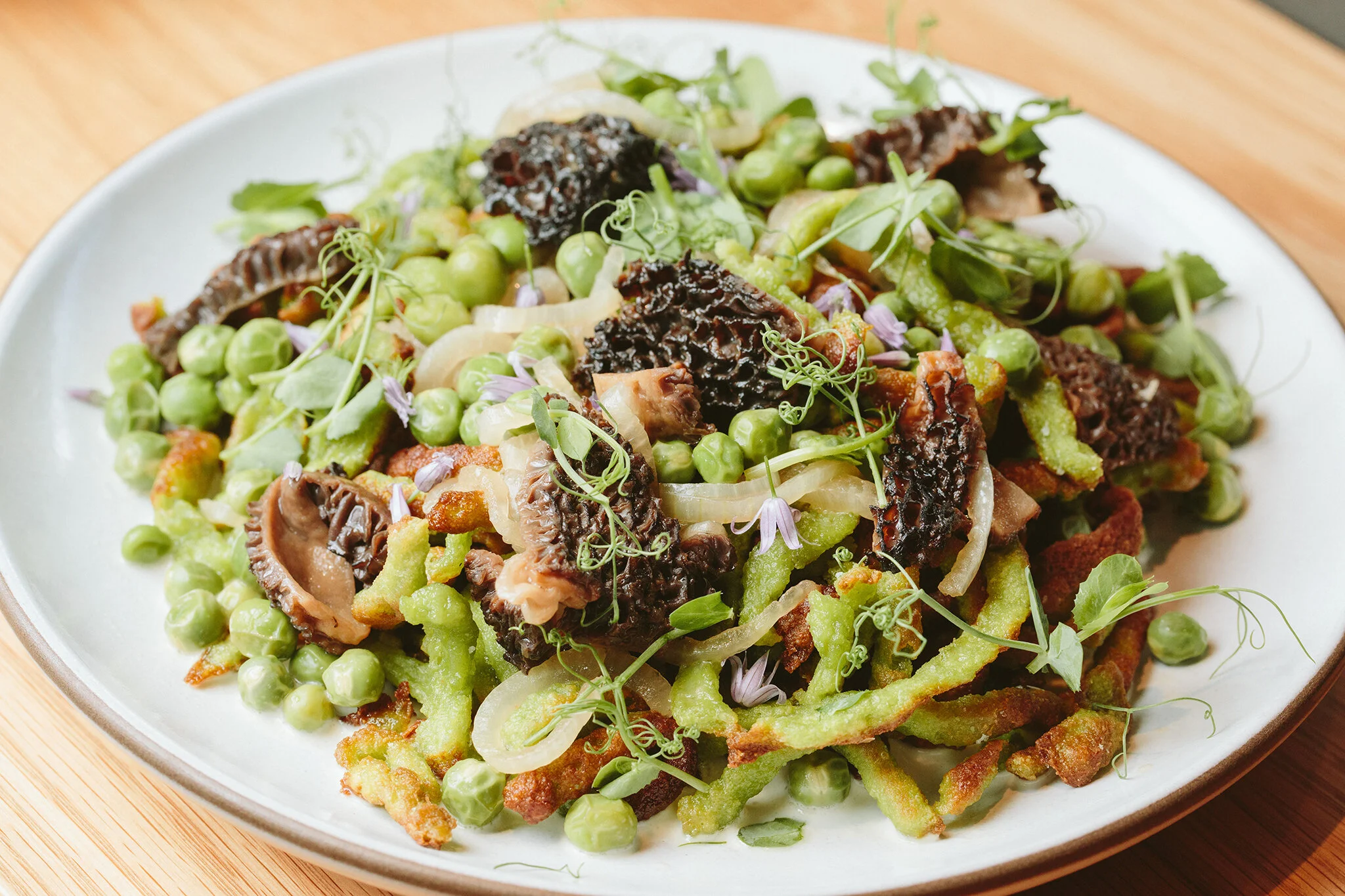 CHICKADEE_BRIAN SAMUELS PHOTOGRAPHY_JULY 2021-1016 copy.jpg