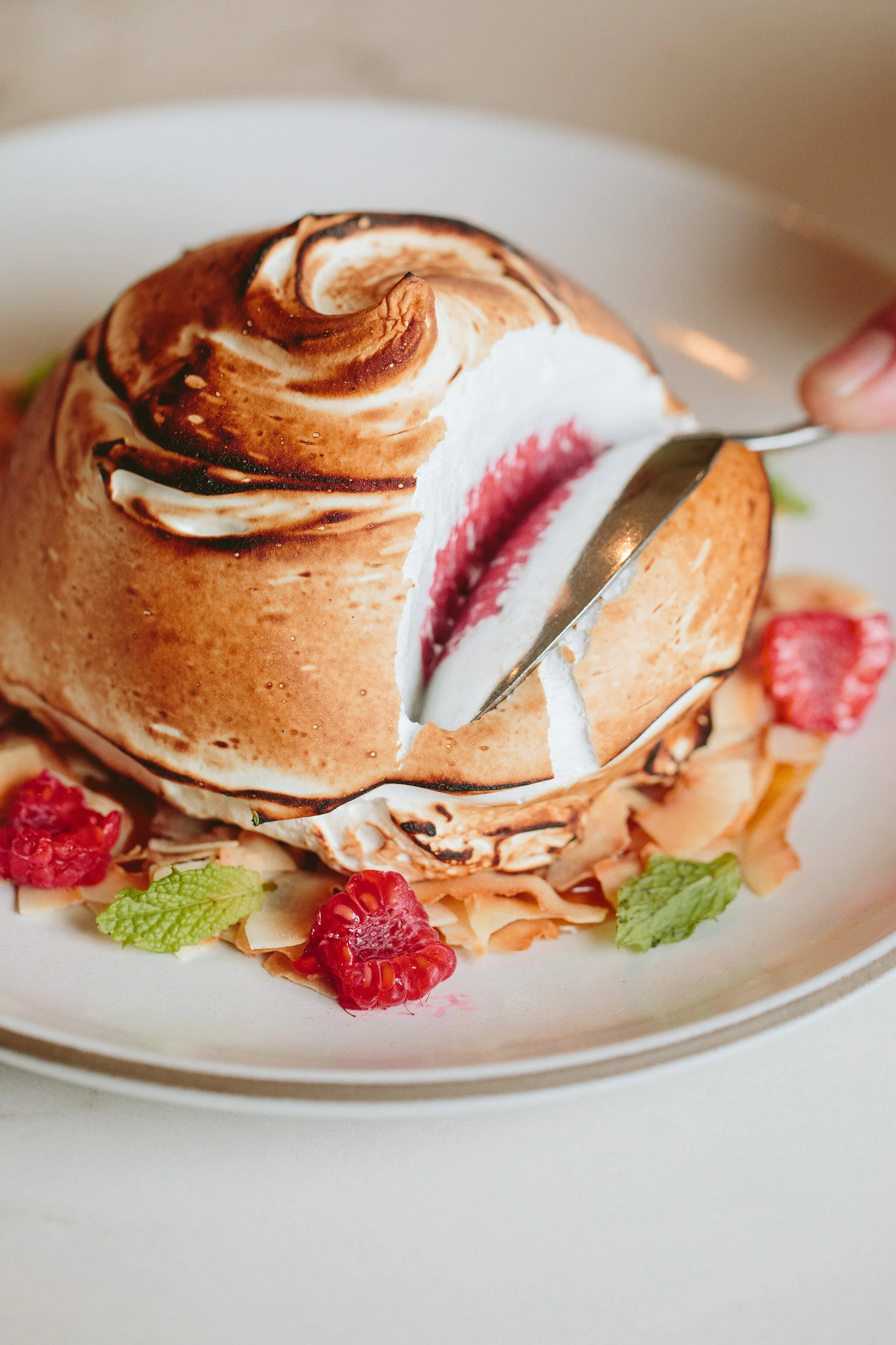 CHICKADEE_BRIAN SAMUELS PHOTOGRAPHY_JULY 2021-1187 copy.jpg