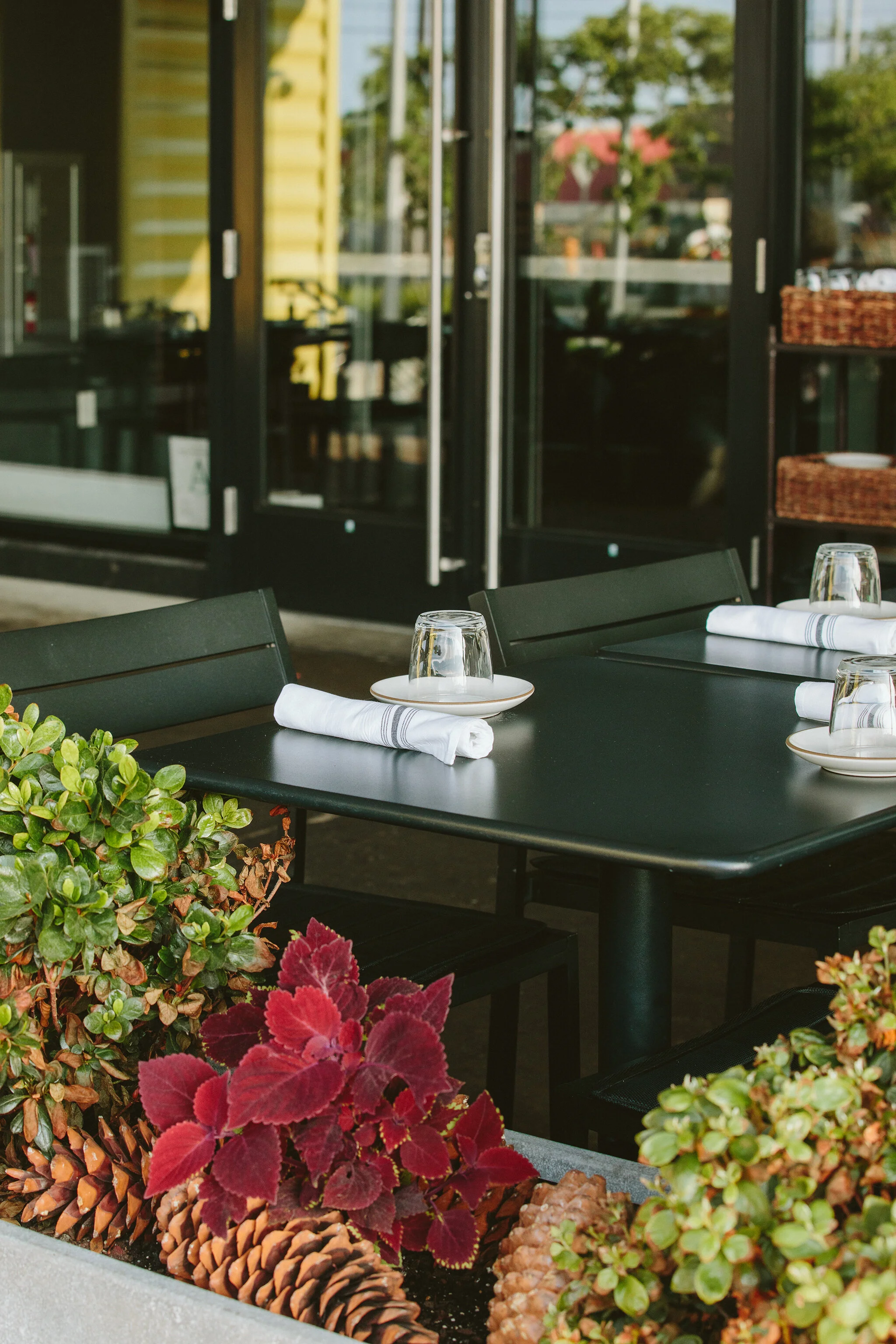 CHICKADEE_BRIAN SAMUELS PHOTOGRAPHY_JULY 2021-1388 copy.jpg