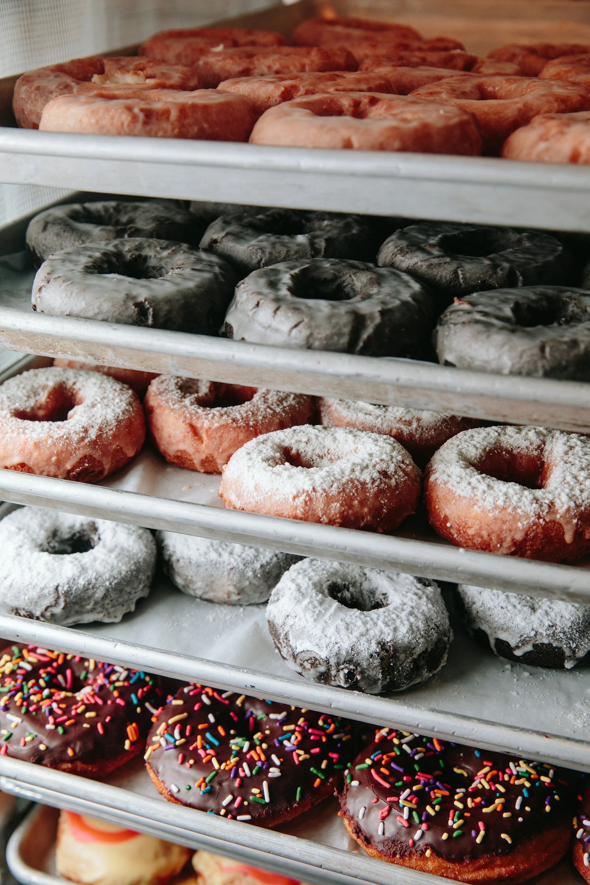 BLACKBIRD DOUGHNUTS AND SALLYS SANDWICHES_BRIAN SAMUELS PHOTOGRAPHY_JULY 2021-0269 copy.jpg