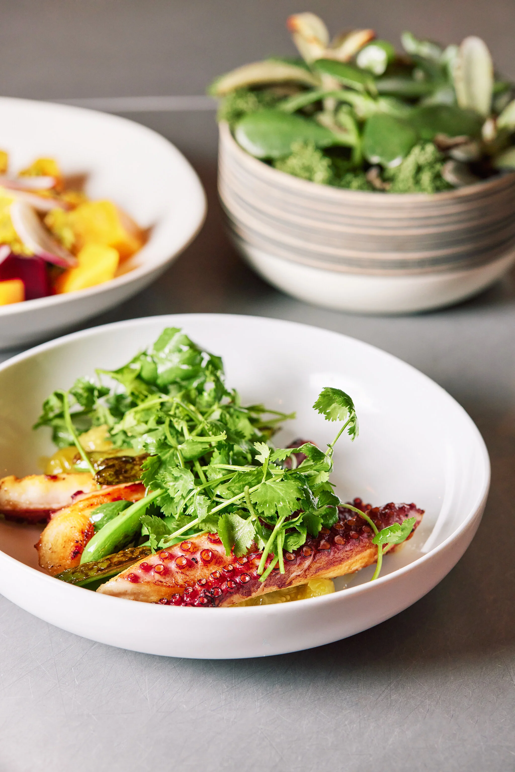SELECT OYSTER BAR_BRIAN SAMUELS PHOTOGRAPHY_SEPTEMBER 2021-IMG_1905 copy.jpg
