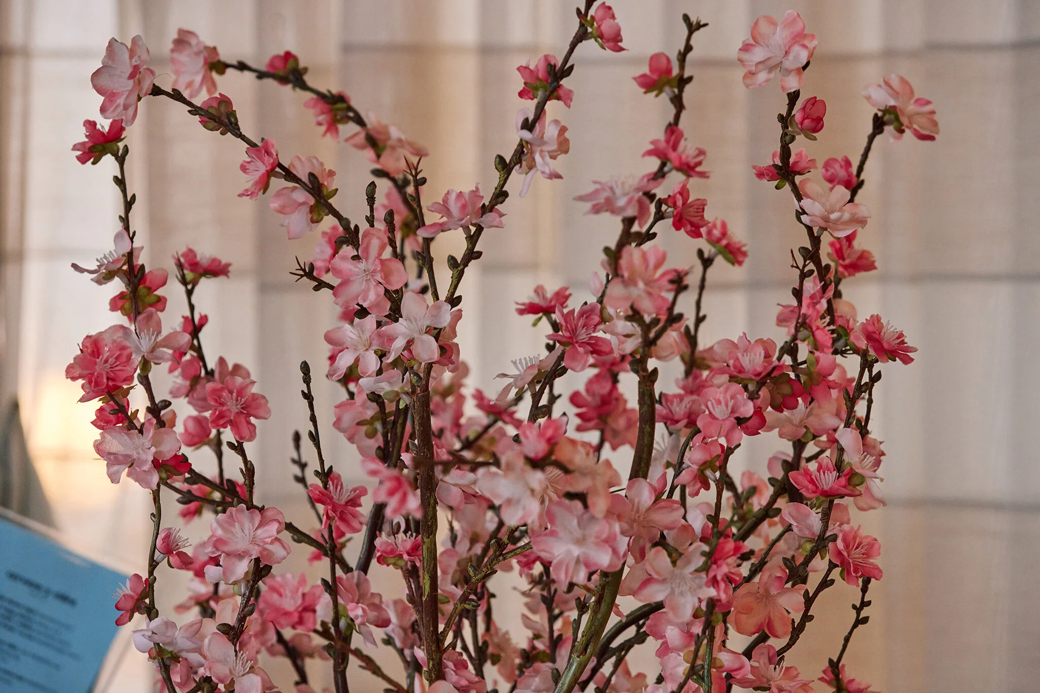 ATLANTICO_BRIAN SAMUELS PHOTOGRAPHY_SEPTEMBER 2021-IMG_2664 copy.jpg