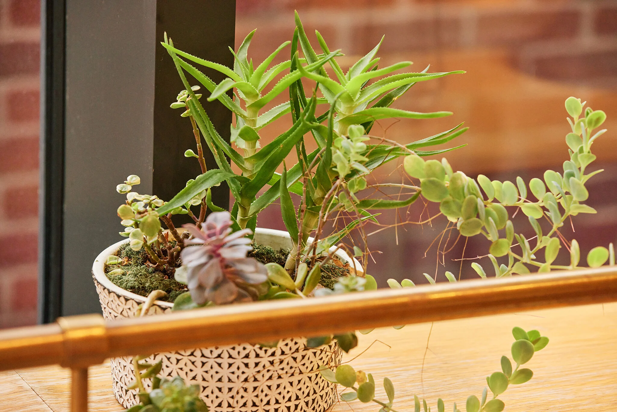 ATLANTICO_BRIAN SAMUELS PHOTOGRAPHY_SEPTEMBER 2021-IMG_2680 copy.jpg