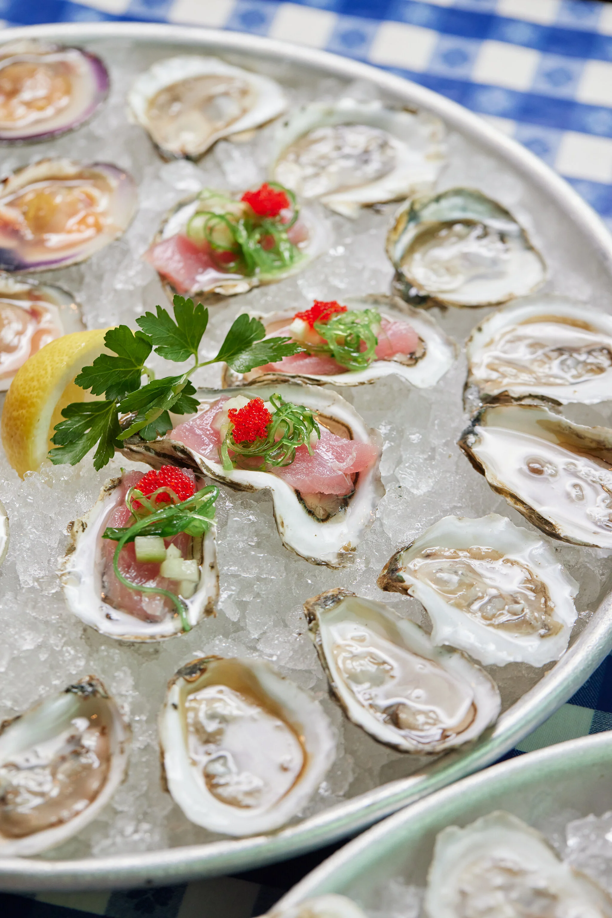 SUMMER SHACK_LYONS GROUP_BRIAN SAMUELS PHOTOGRAPHY_OCTOBER 2021-IMG_7488 copy.jpg