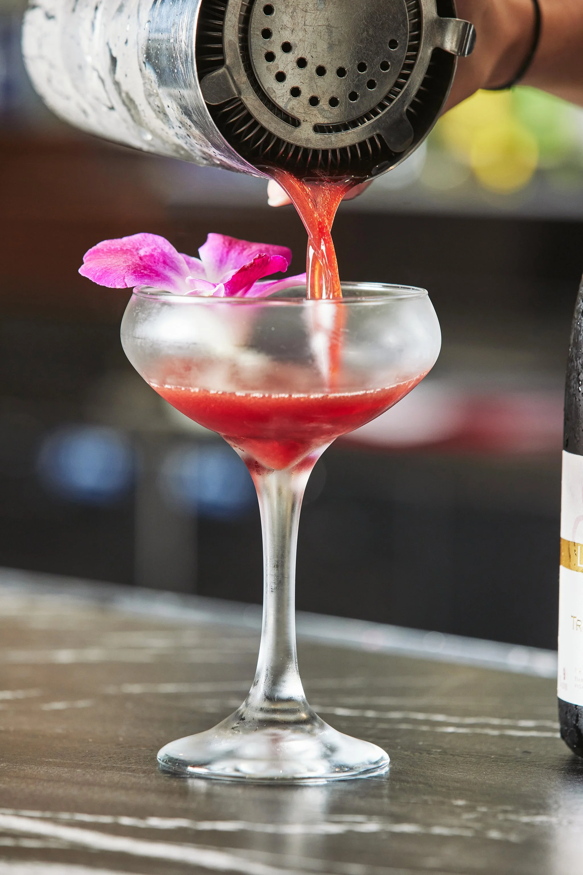 LA FINA_BRIAN SAMUELS PHOTOGRAPHY_OCTOBER 2021-IMG_9469 copy.jpg