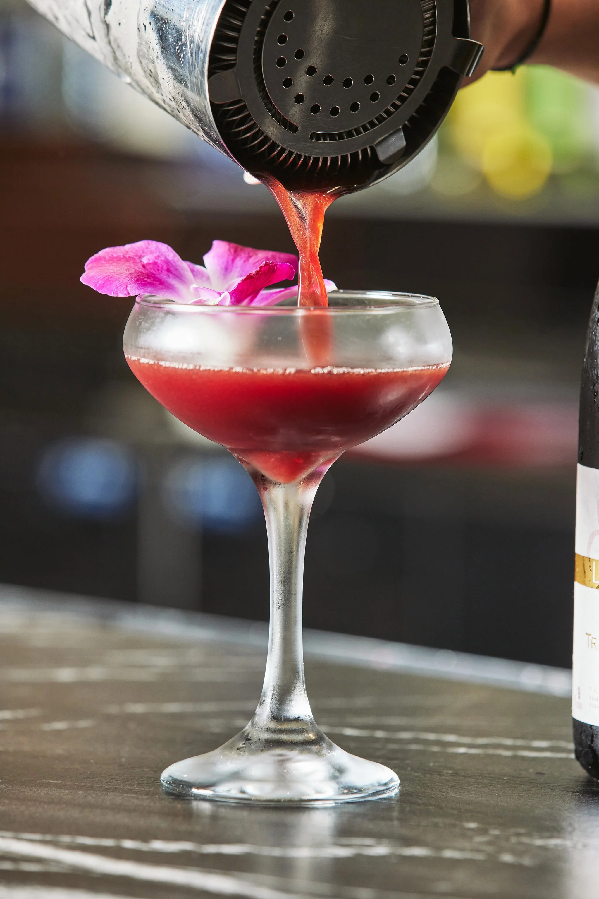 LA FINA_BRIAN SAMUELS PHOTOGRAPHY_OCTOBER 2021-IMG_9471 copy.jpg