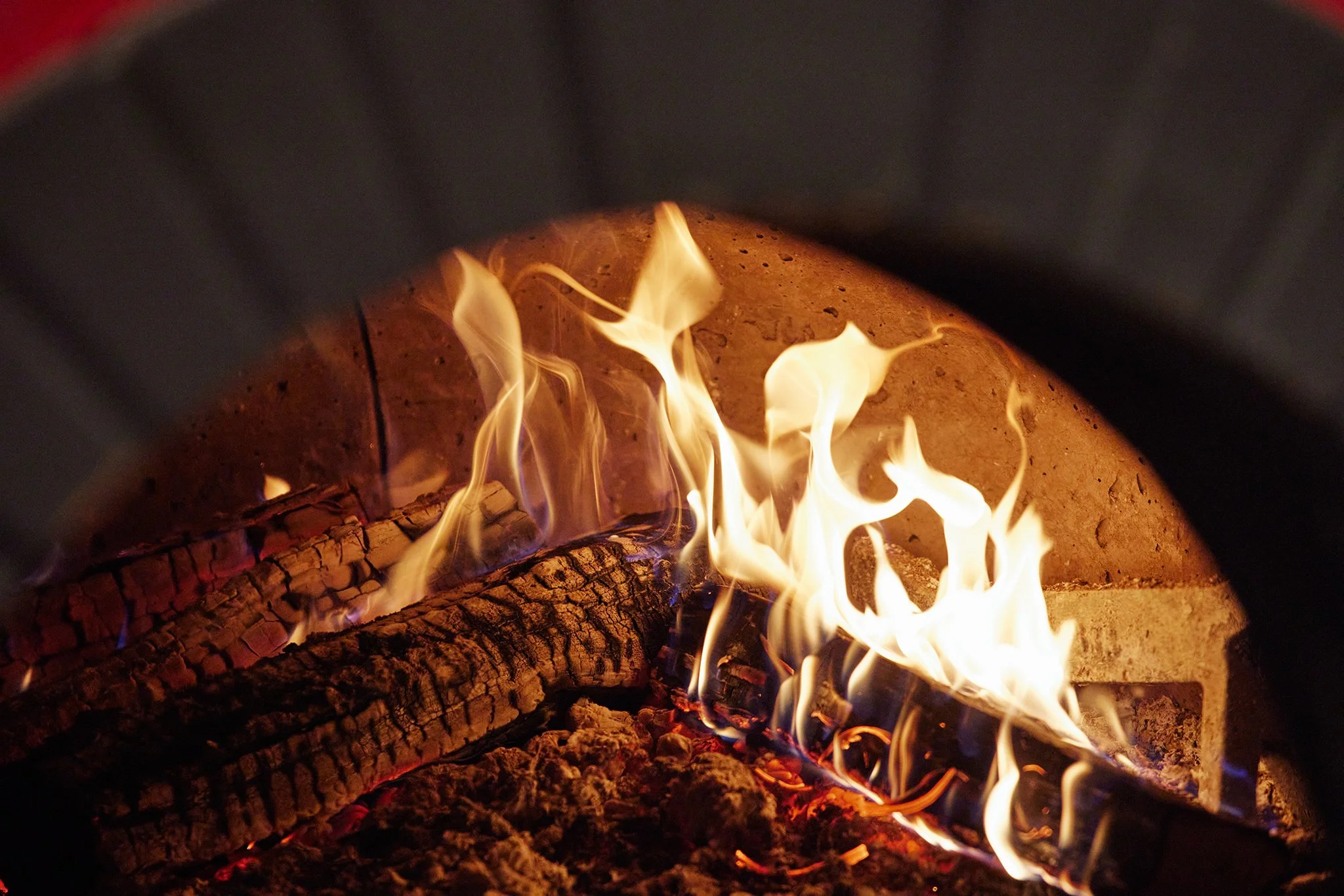 BIANCA_BRIAN SAMUELS PHOTOGRAPHY_3 NOVEMBER 2021-IMG_2499 copy.jpg