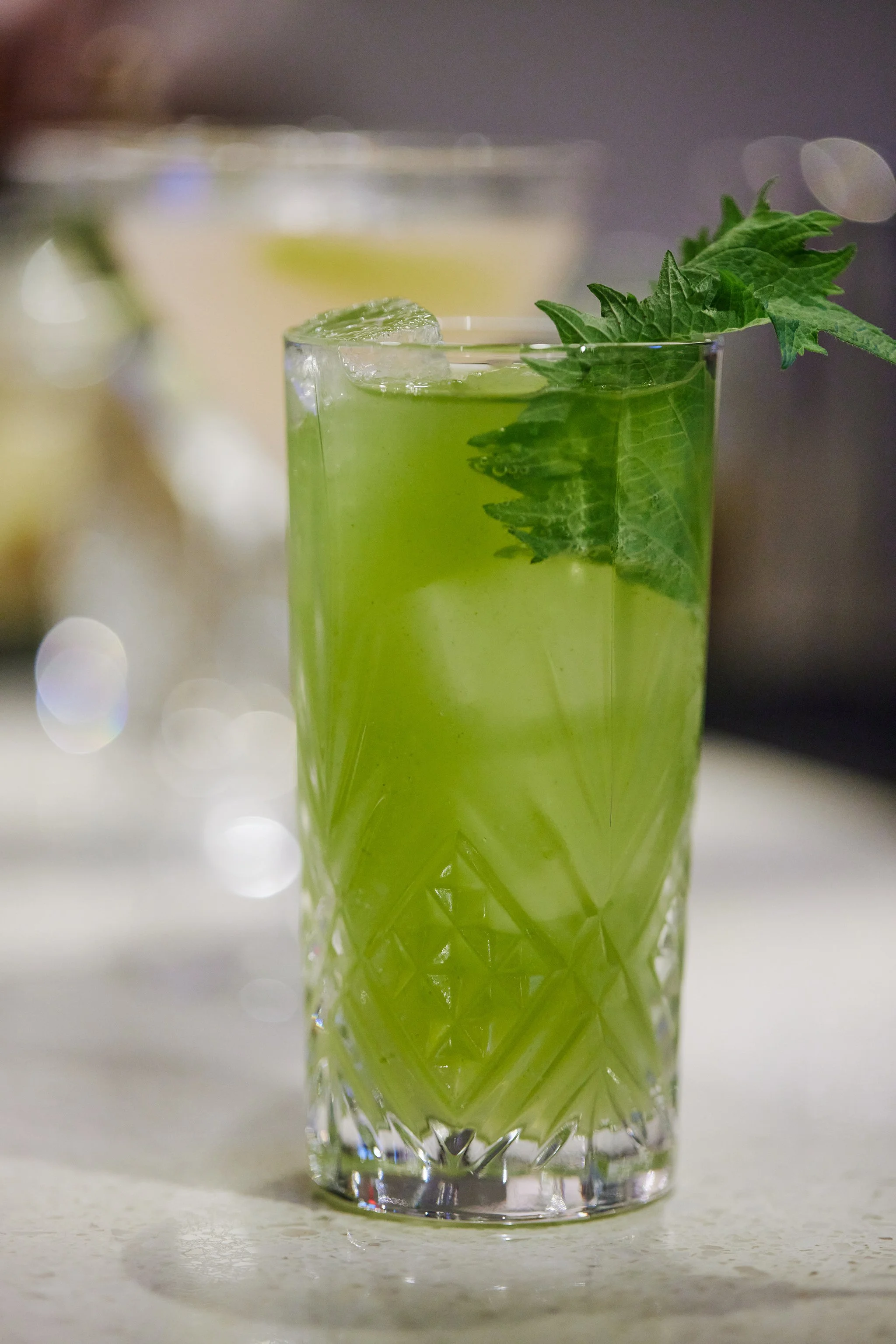 BIANCA_BRIAN SAMUELS PHOTOGRAPHY_10 NOVEMBER 2021-IMG_4585 copy.jpg