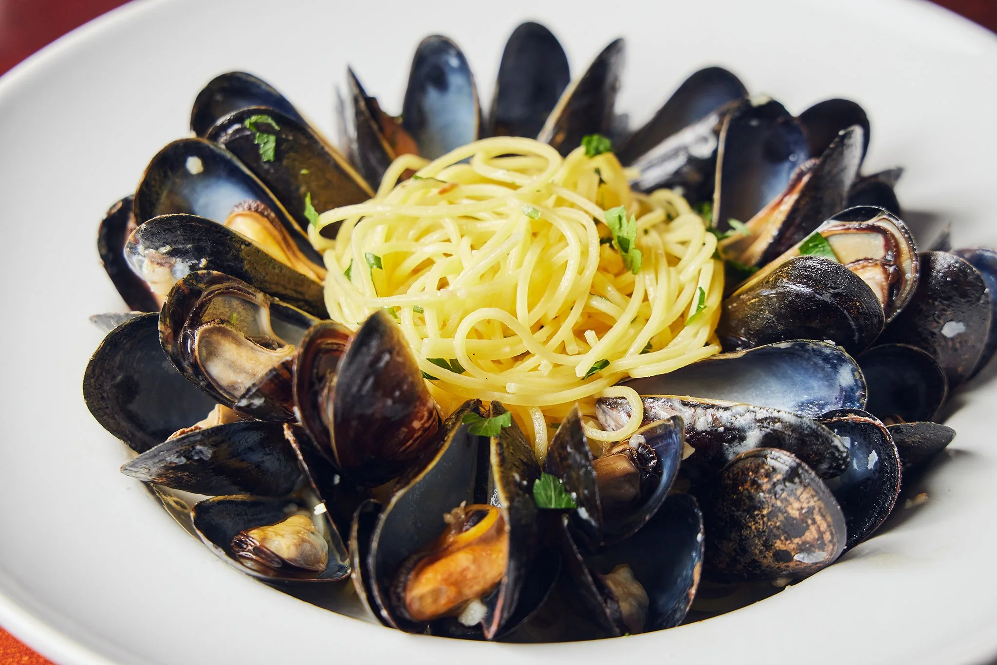 VICTORY POINT_BRIAN SAMUELS PHOTOGRAPHY_FEBRUARY 2022-IMG-0252 copy.jpg