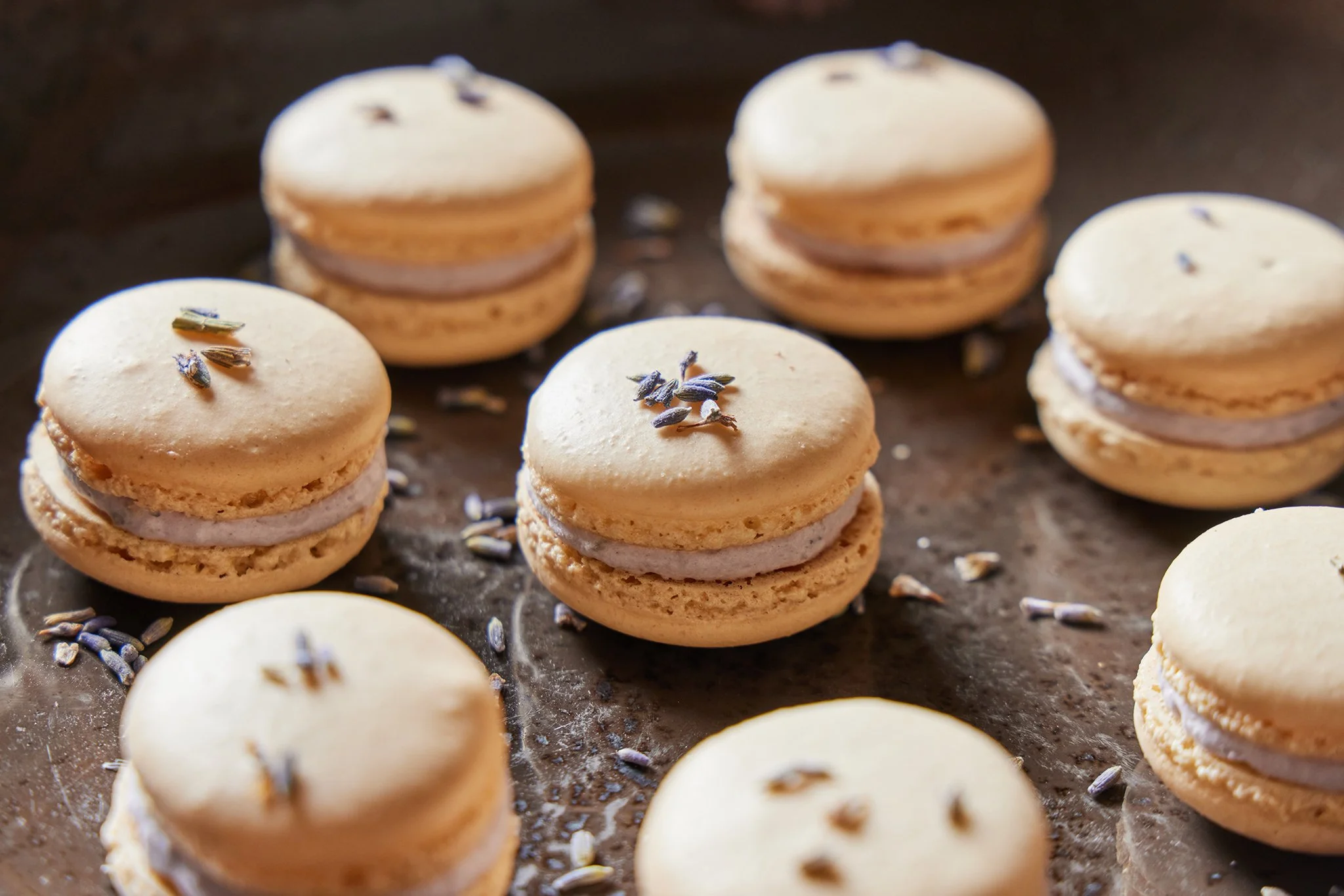 CATALYST_CATERING EVENT PHOTOGRAPHY_BRIAN SAMUELS PHOTOGRAPHY-0066 copy.jpg