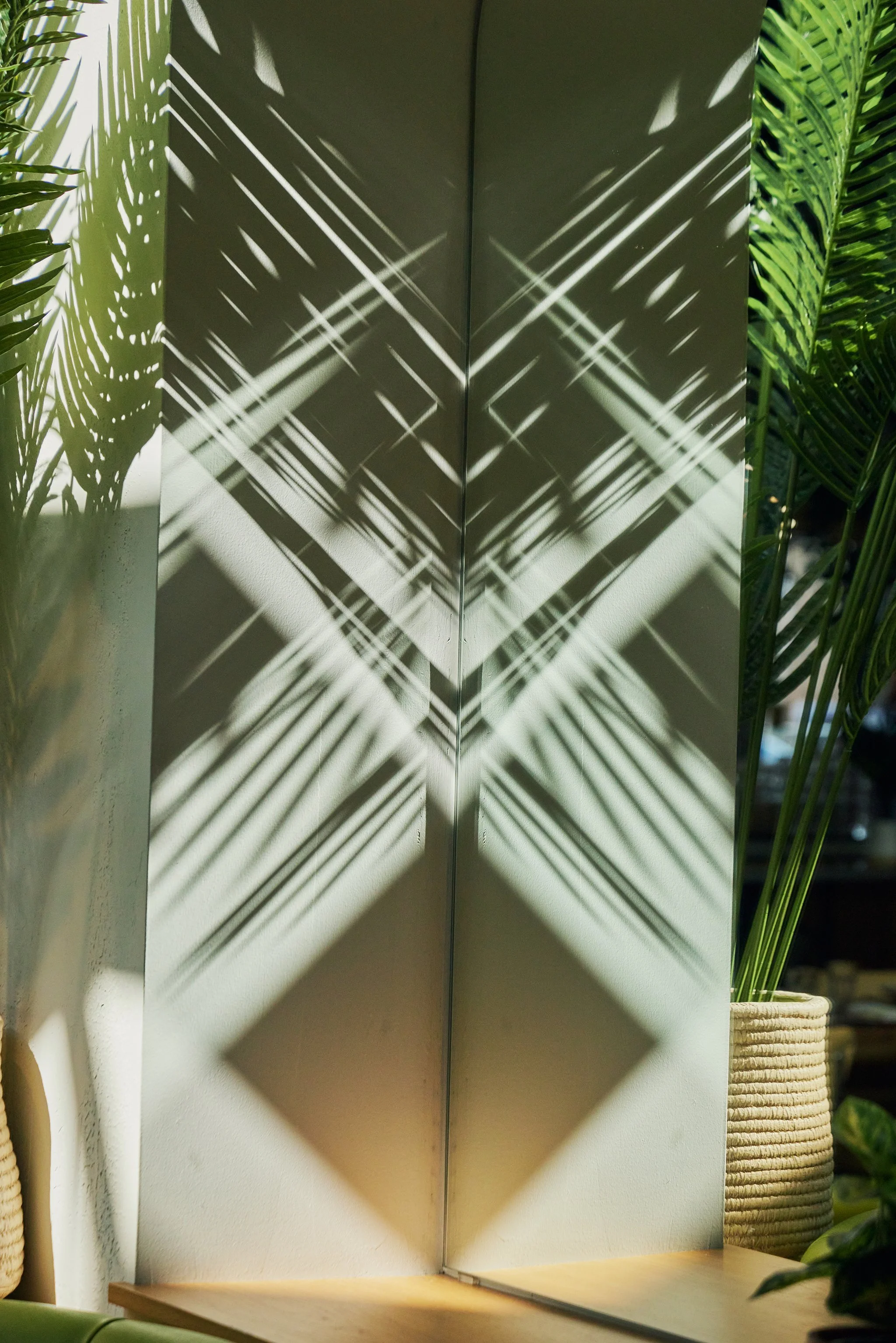 BIANCA_BRIAN SAMUELS PHOTOGRAPHY_APRIL 2022IMG_3458 copy.jpg