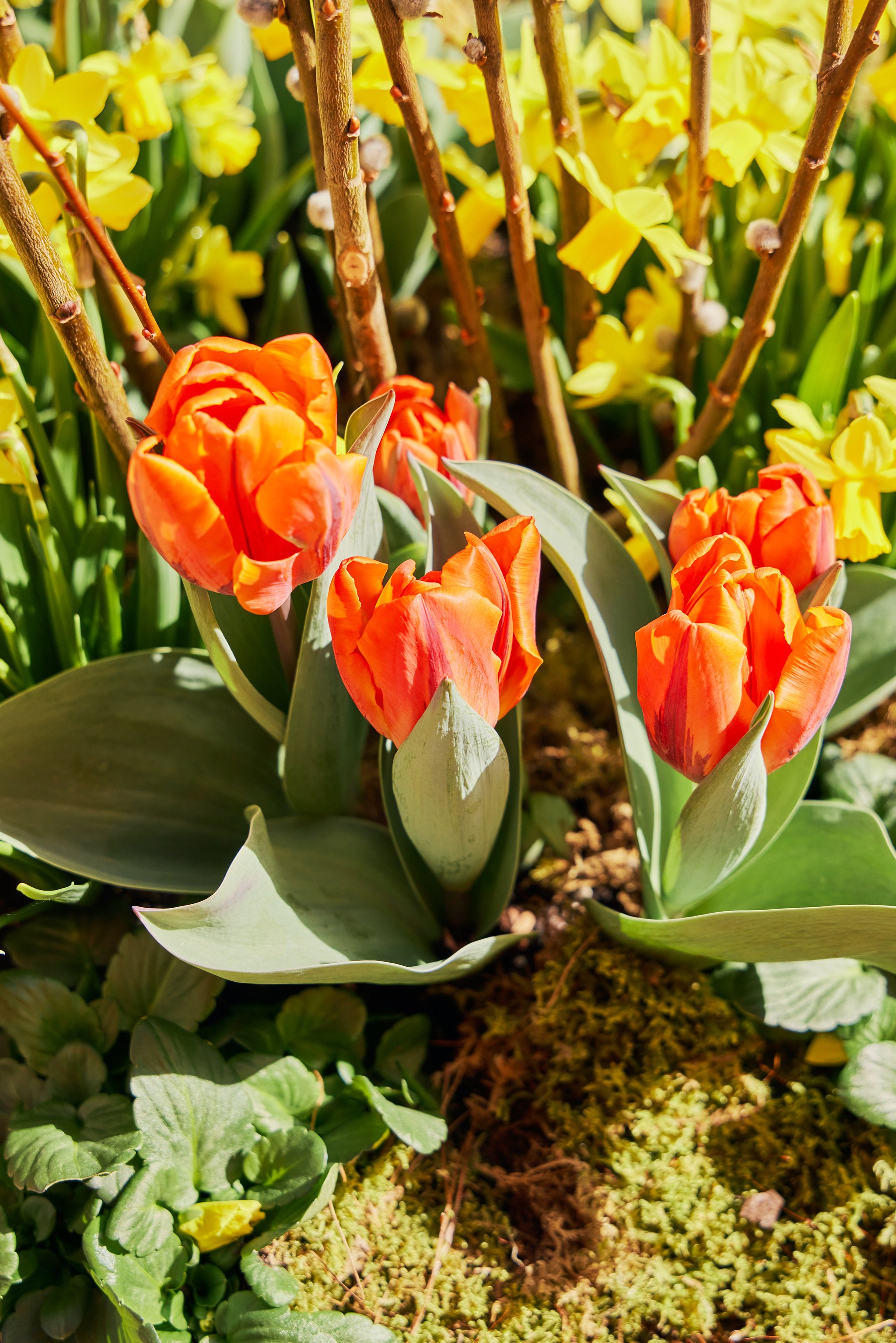 BIANCA_BRIAN SAMUELS PHOTOGRAPHY_APRIL 2022IMG_3571 copy.jpg