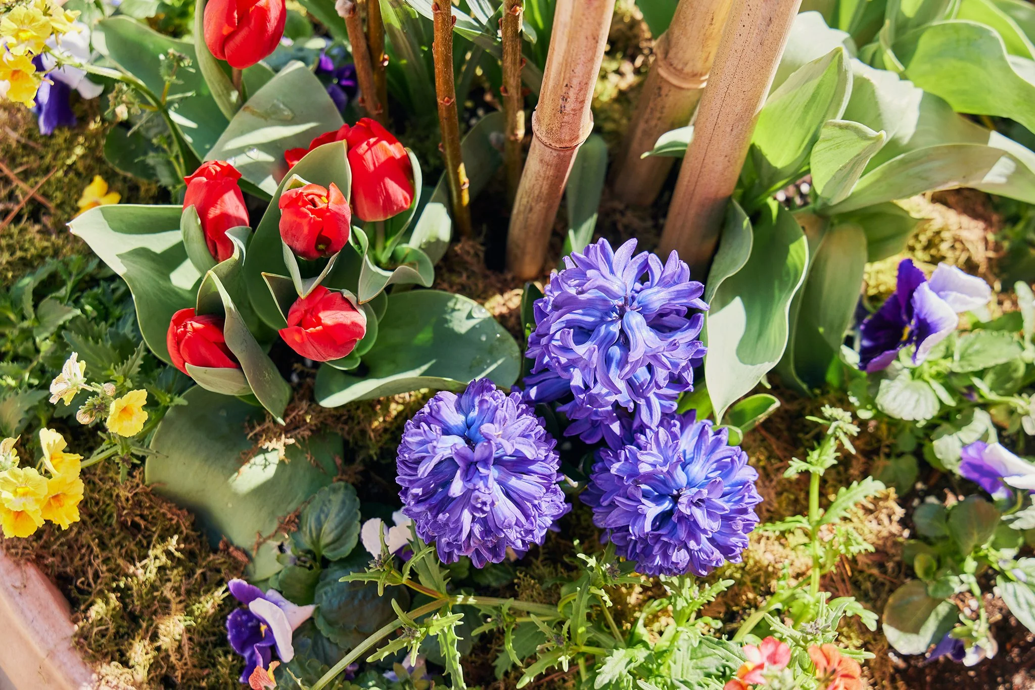 BIANCA_BRIAN SAMUELS PHOTOGRAPHY_APRIL 2022IMG_3578 copy.jpg