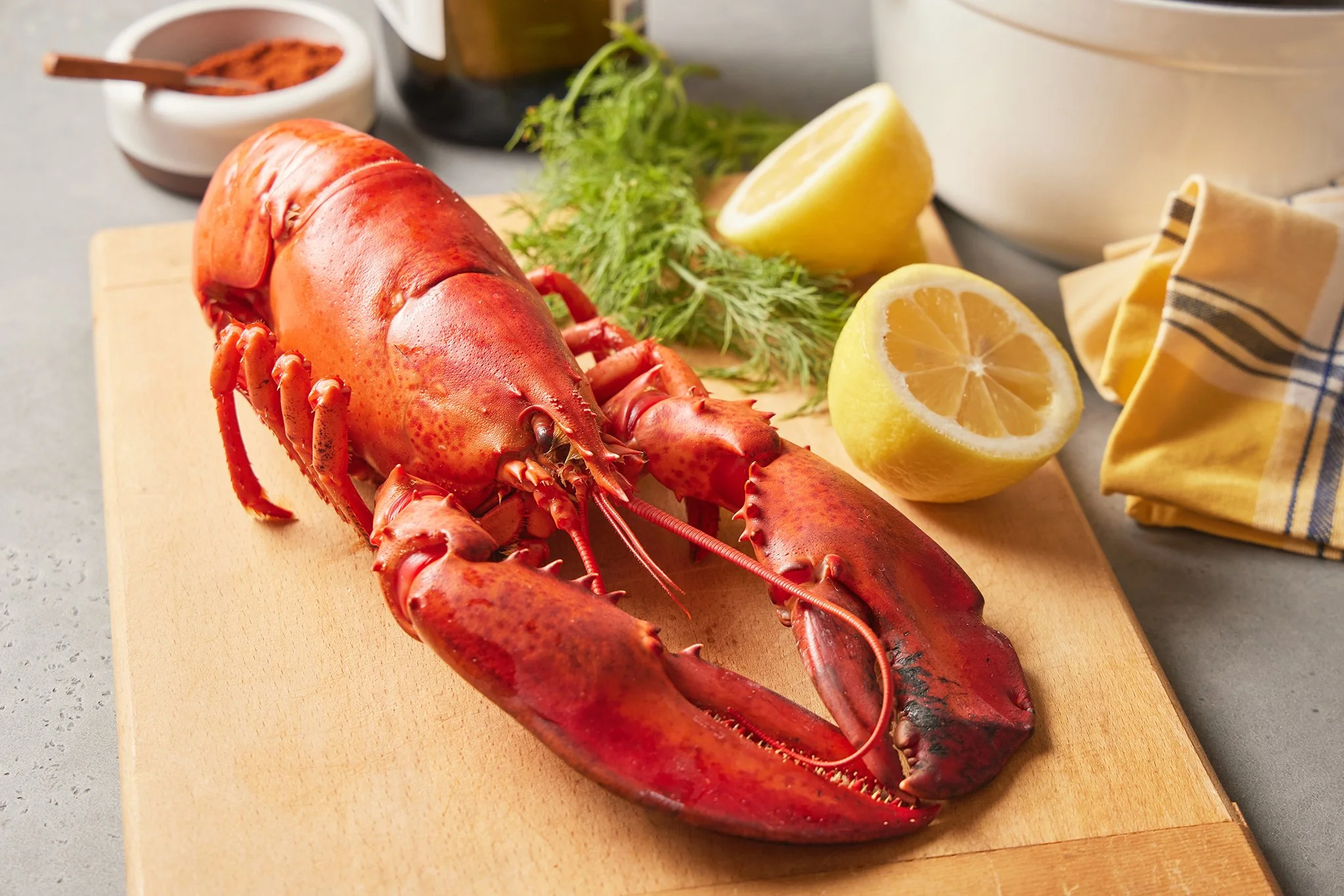 CFOOD BRANDS_LOBSTER_BRIAN SAMUELS PHOTOGRAPHY_APRIL2022 2022-0124 copy.jpg
