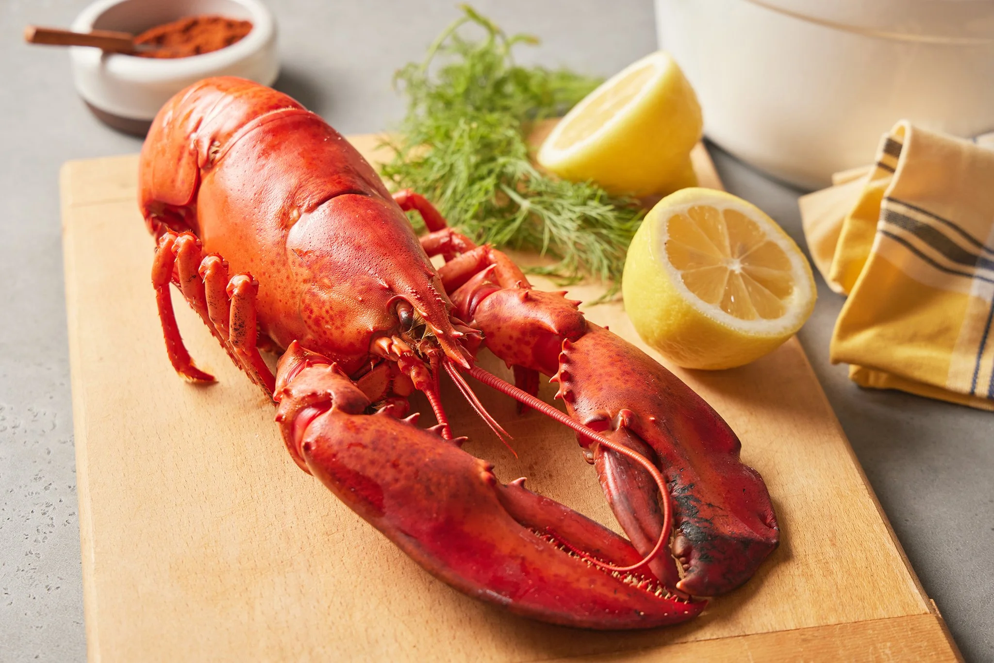 CFOOD BRANDS_LOBSTER_BRIAN SAMUELS PHOTOGRAPHY_APRIL2022 2022-0126 copy.jpg