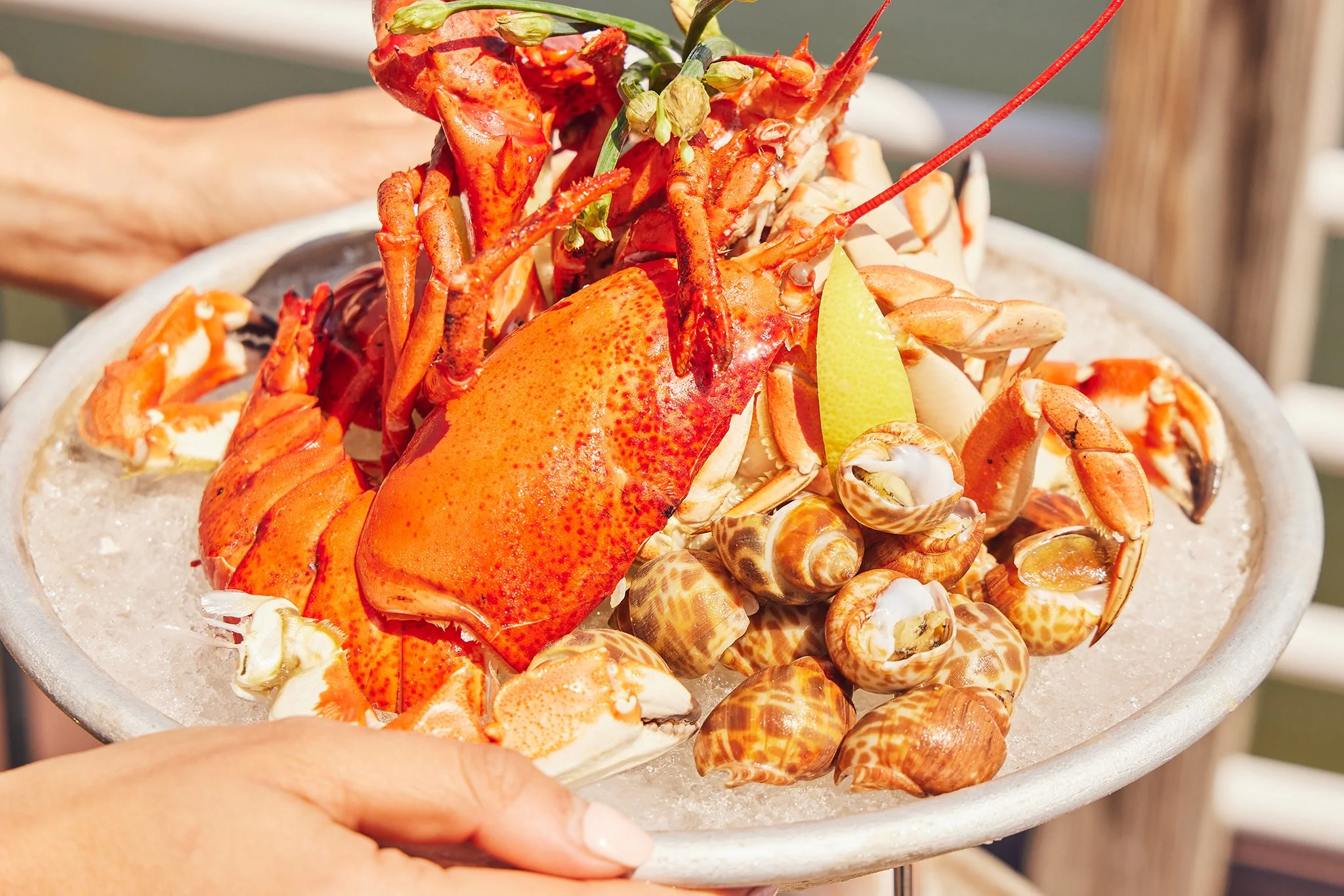 VICTORY POINT_BRIAN SAMUELS PHOTOGRAPHY_MAY 2022-IMG_1006 copy.jpg