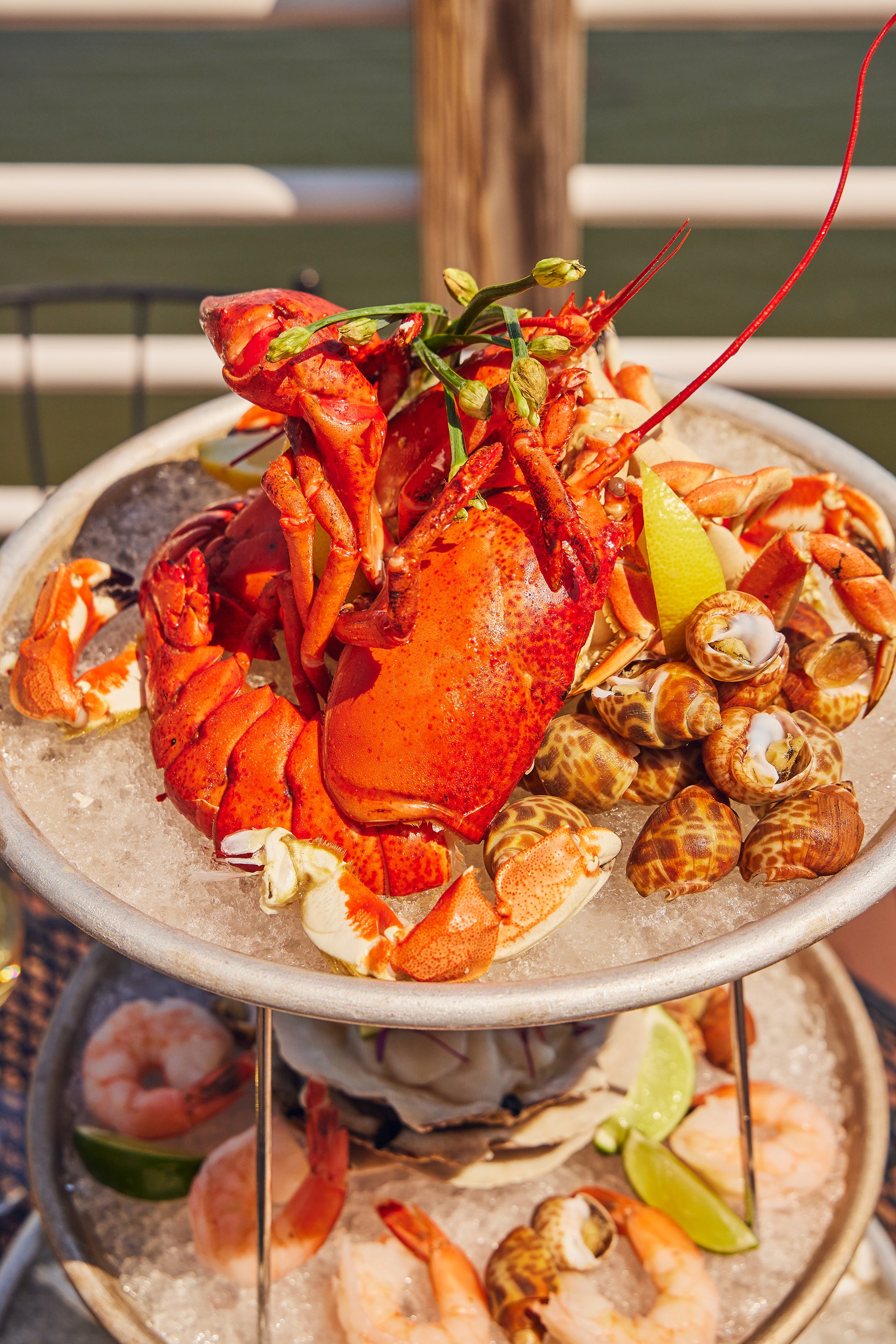 VICTORY POINT_BRIAN SAMUELS PHOTOGRAPHY_MAY 2022-IMG_1046 copy.jpg