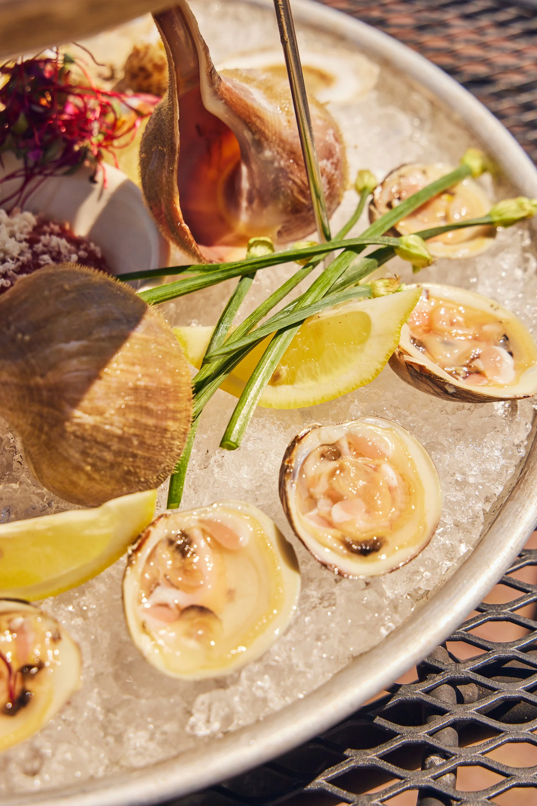 VICTORY POINT_BRIAN SAMUELS PHOTOGRAPHY_MAY 2022-IMG_1083 copy.jpg