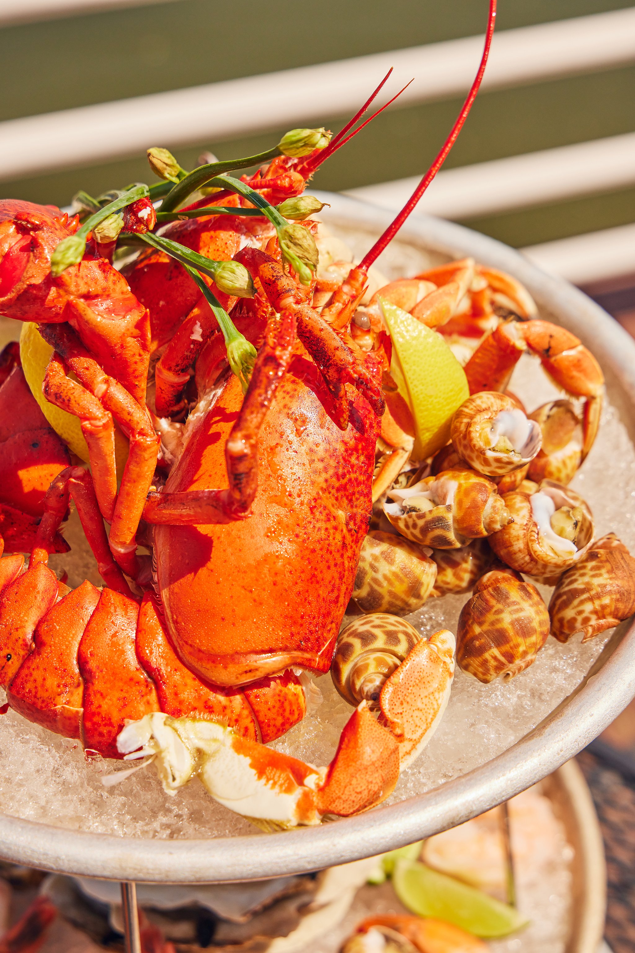 VICTORY POINT_BRIAN SAMUELS PHOTOGRAPHY_MAY 2022-IMG_1085 copy.jpg