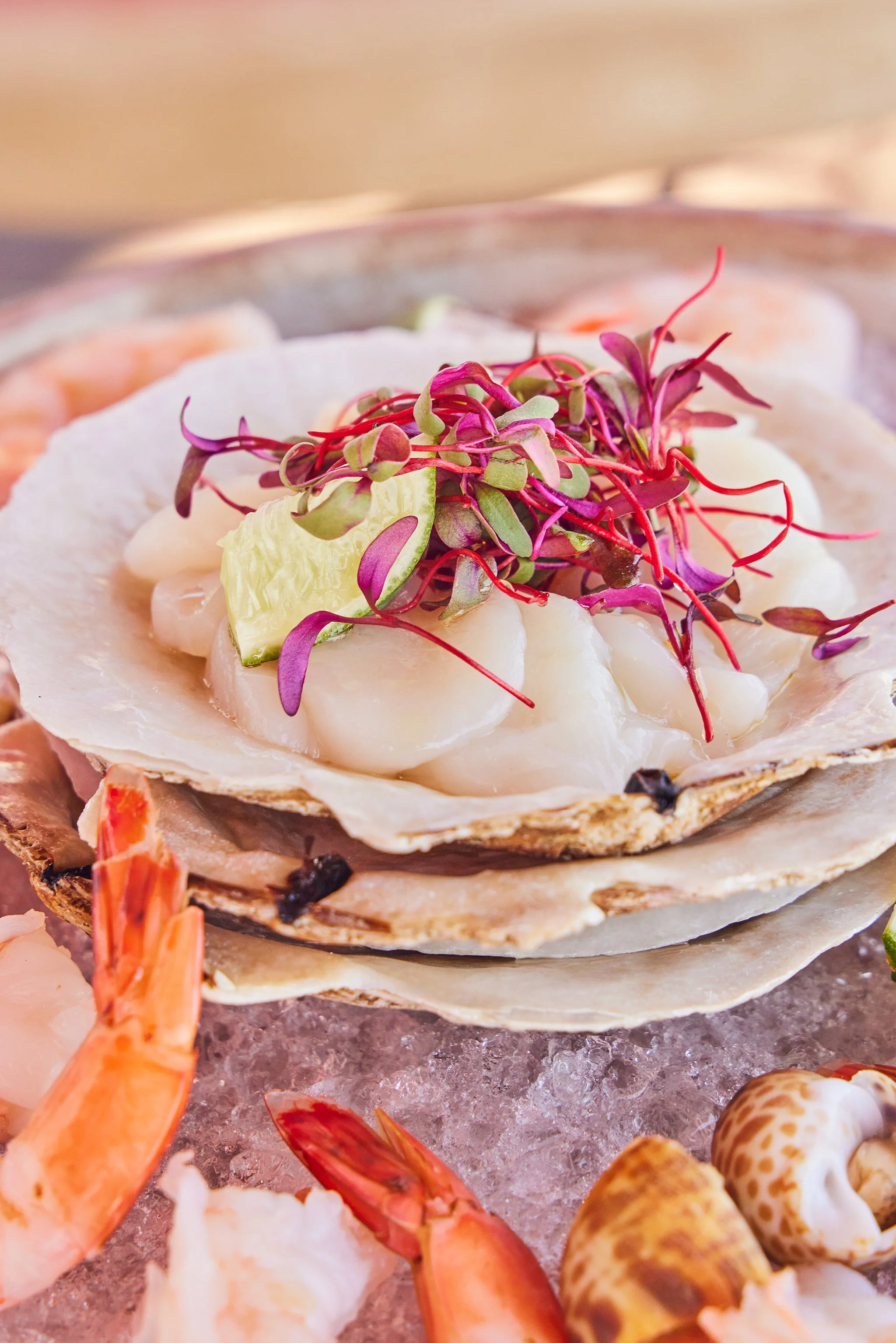 VICTORY POINT_BRIAN SAMUELS PHOTOGRAPHY_MAY 2022-IMG_1257 copy.jpg