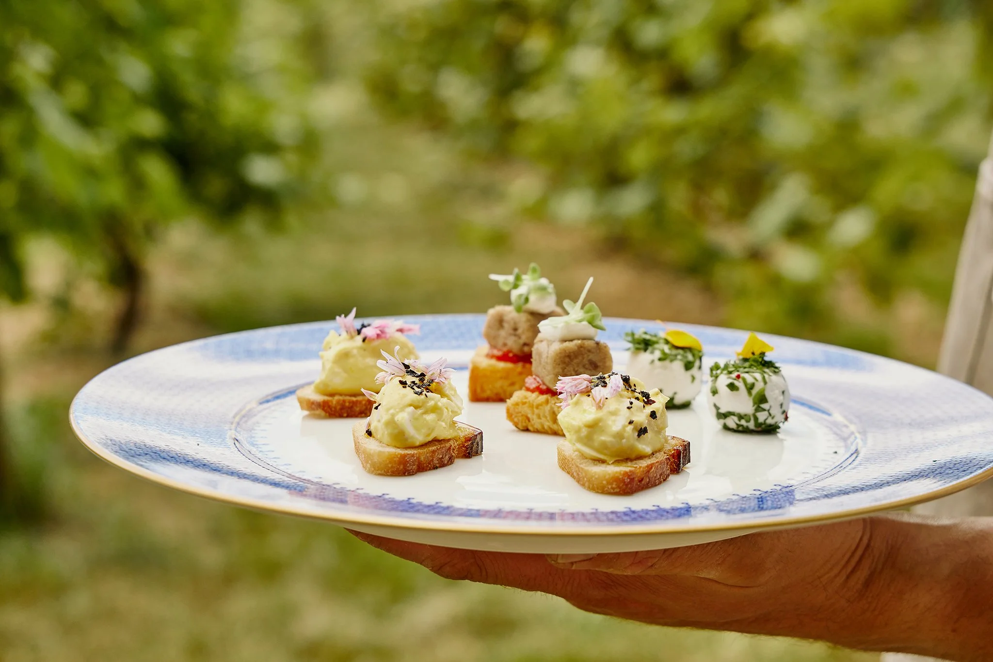 SALTBOX FARM_BRIAN SAMUELS PHOTOGRAPHY_JUNE 2022-IMG_3312 copy.jpg