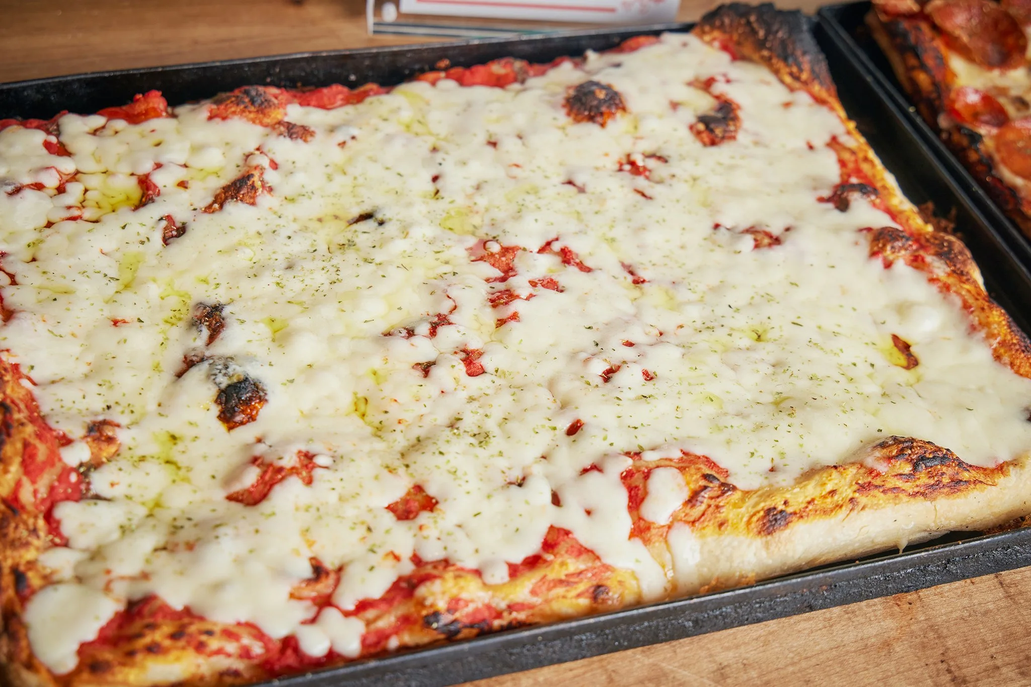 BIANCA AND MR RONI CUPS_BRIAN SAMUELS PHOTOGRAPHY_SEPTEMBER 2022 - IMG_5169 copy.jpg