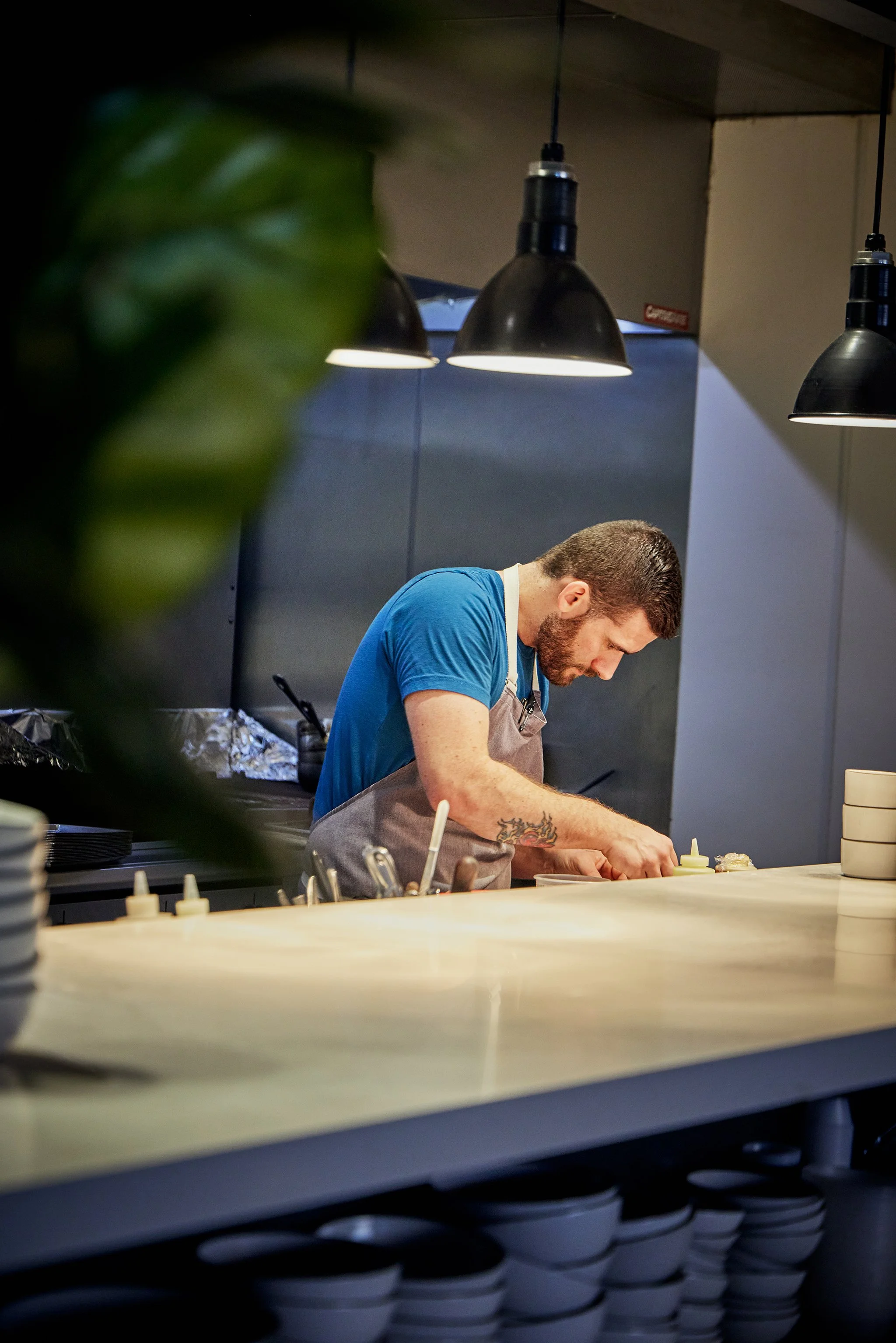 CHICKADEE_BRIAN SAMUELS PHOTOGRAPHY_OCTOBER 2022-IMG_2803 copy.jpg