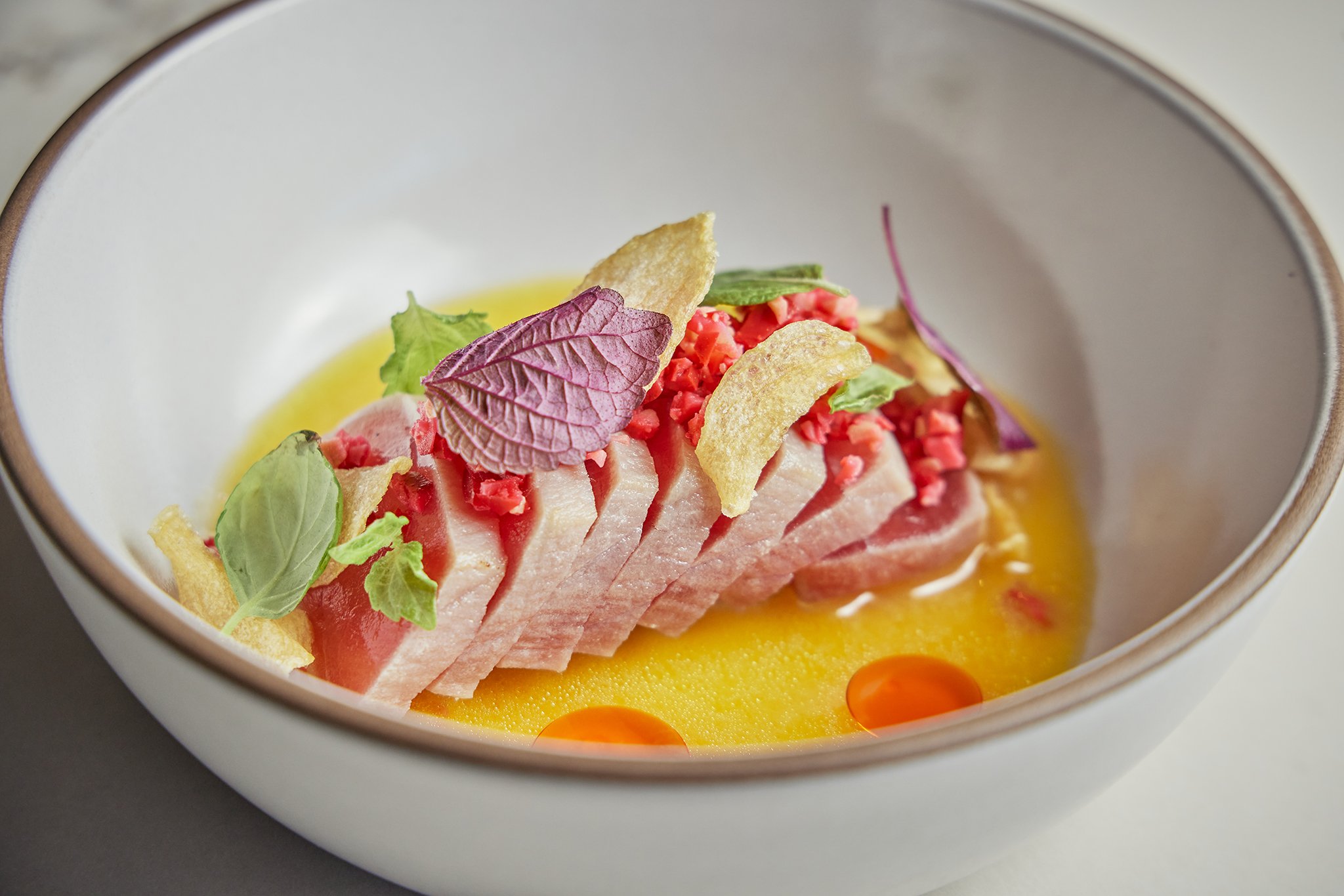 CHICKADEE_BRIAN SAMUELS PHOTOGRAPHY_OCTOBER 2022-IMG_2840 copy.jpg