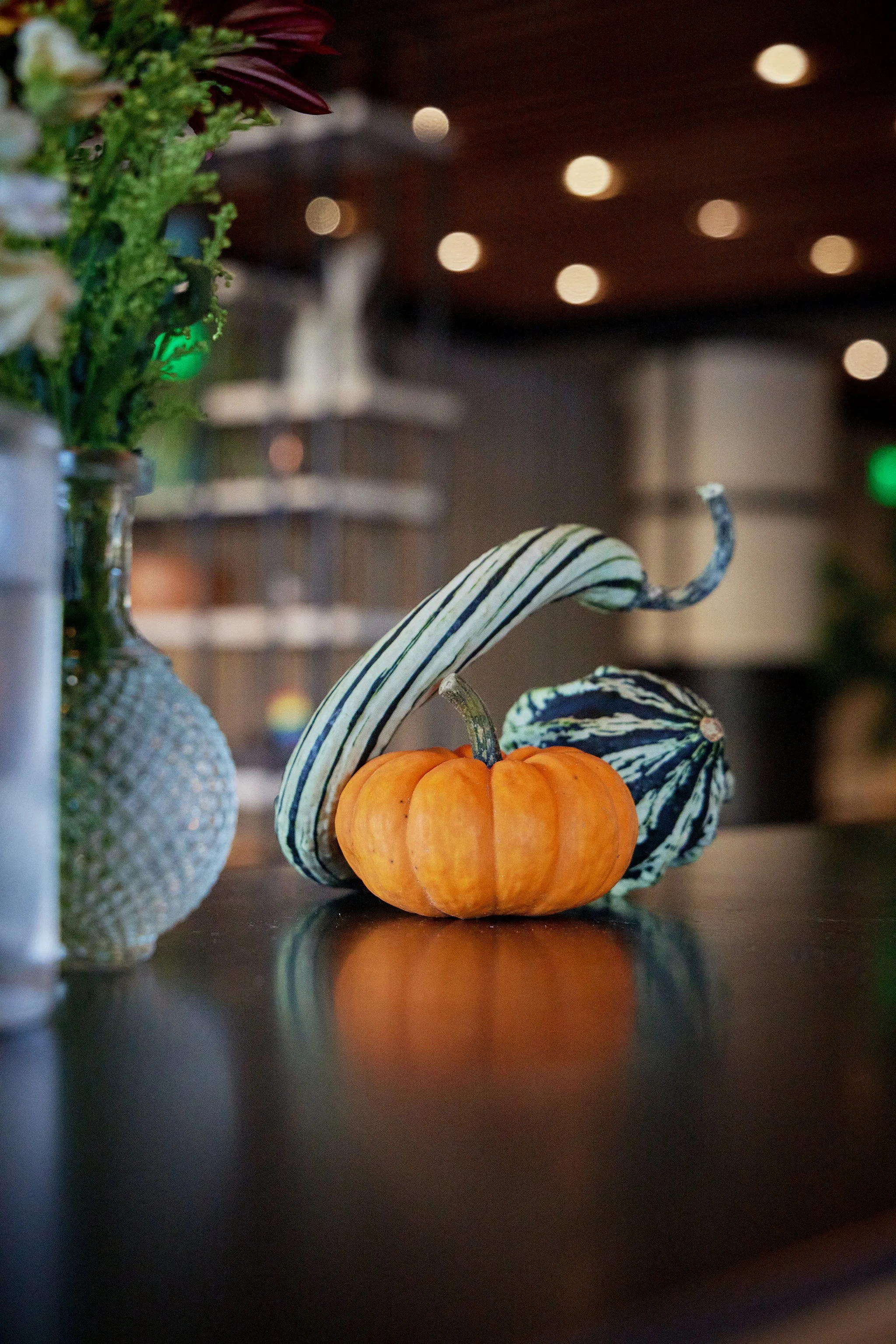 CHICKADEE_BRIAN SAMUELS PHOTOGRAPHY_OCTOBER 2022-IMG_2868 copy.jpg