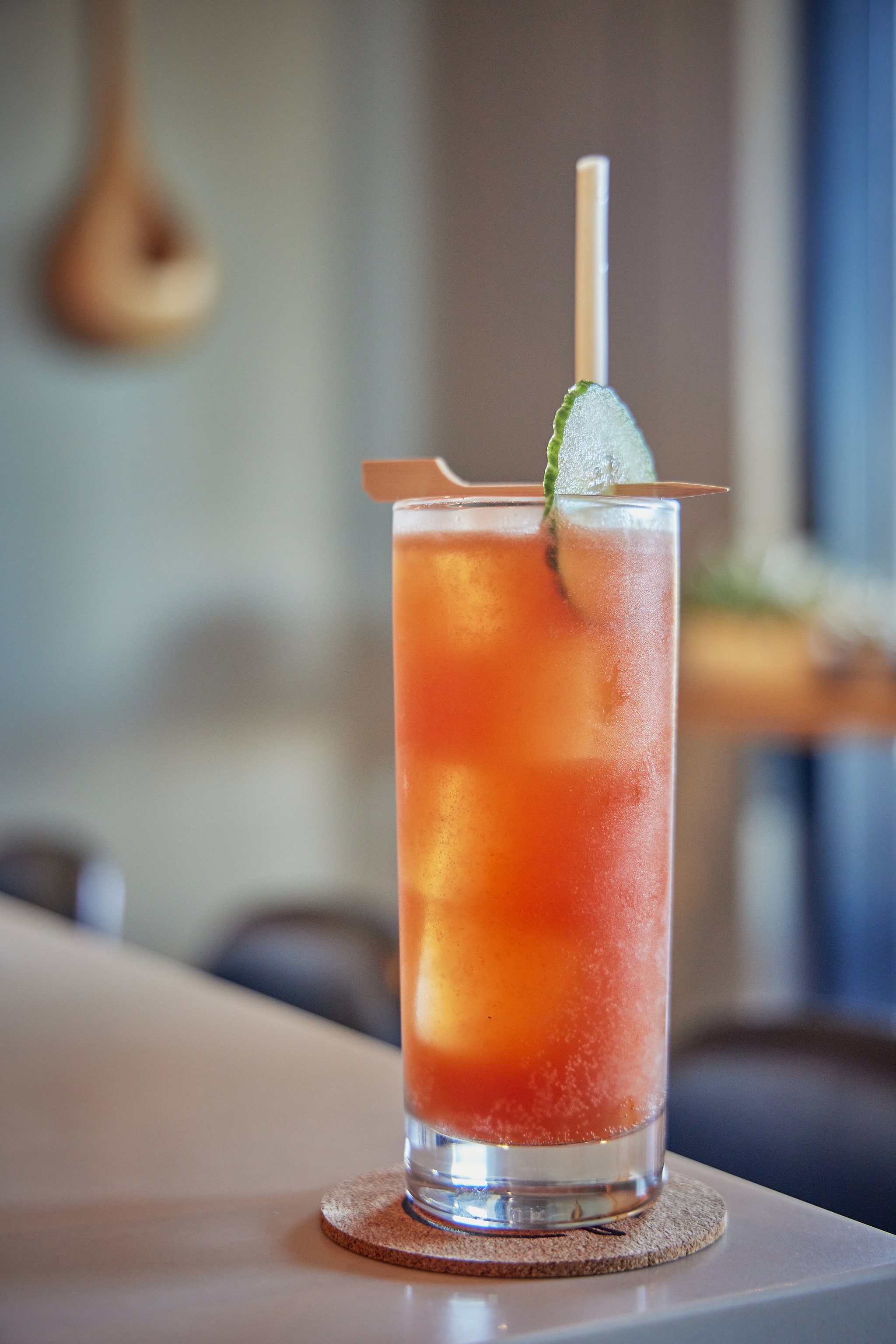 CHICKADEE_BRIAN SAMUELS PHOTOGRAPHY_OCTOBER 2022-IMG_2917 copy.jpg