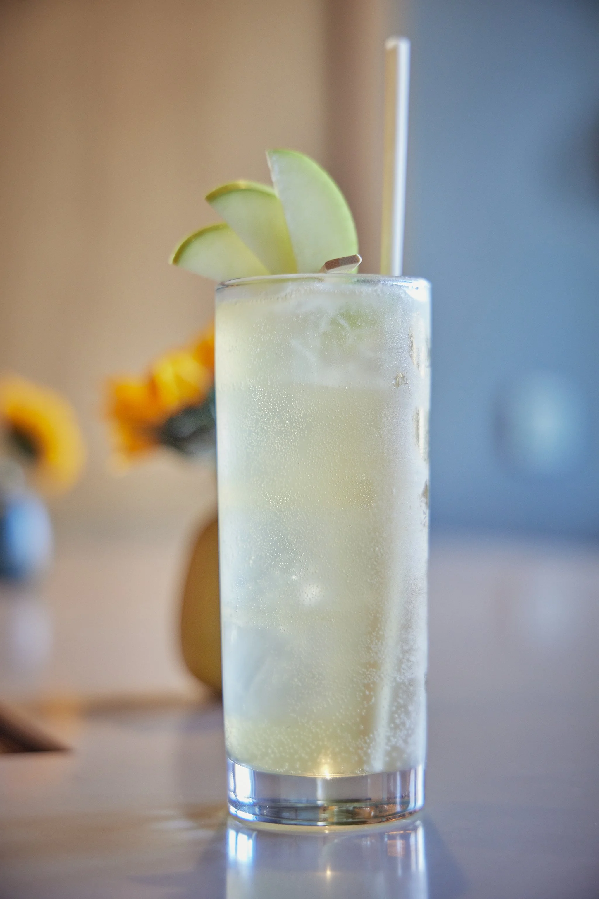 CHICKADEE_BRIAN SAMUELS PHOTOGRAPHY_OCTOBER 2022-IMG_2921 copy.jpg