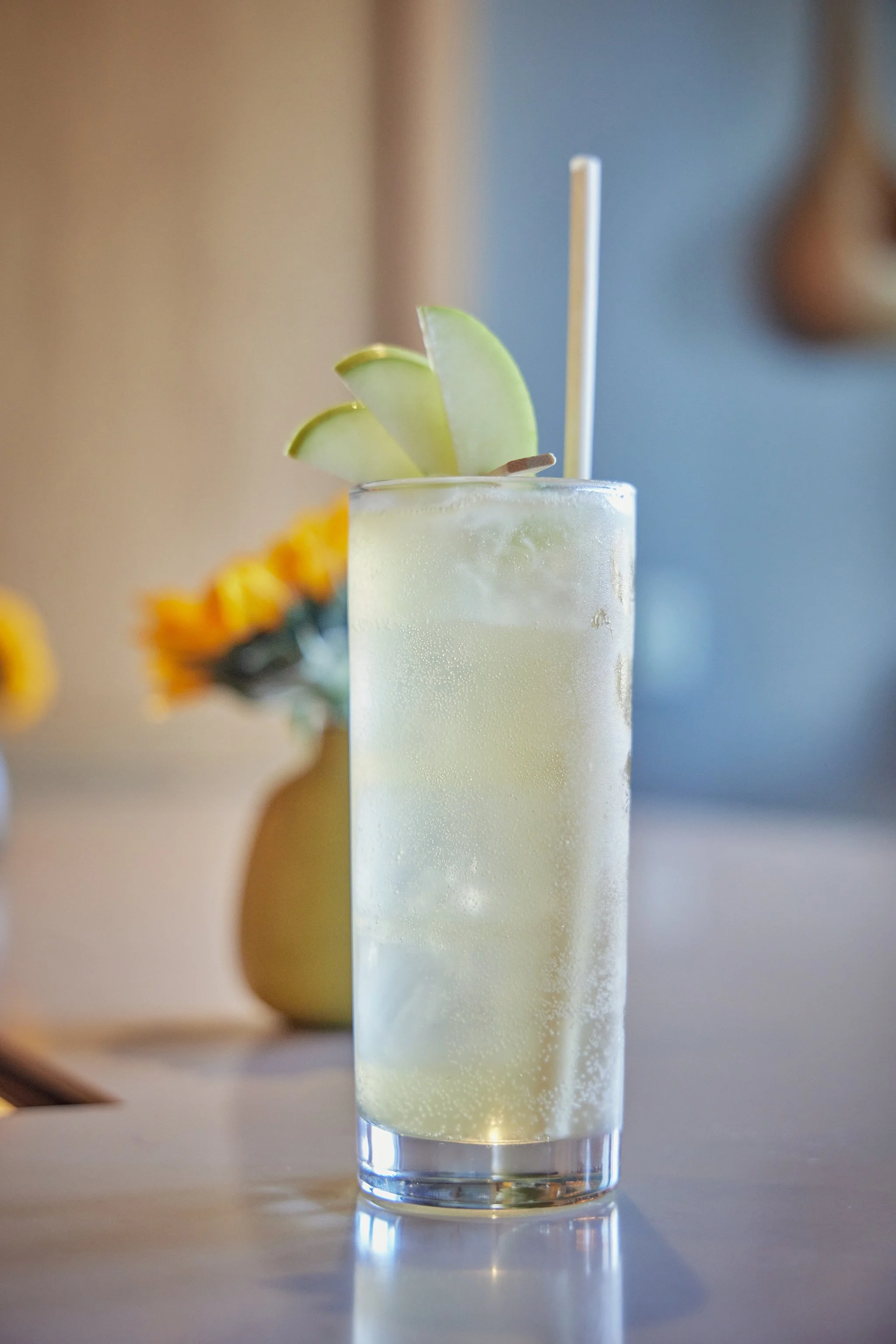 CHICKADEE_BRIAN SAMUELS PHOTOGRAPHY_OCTOBER 2022-IMG_2926 copy.jpg