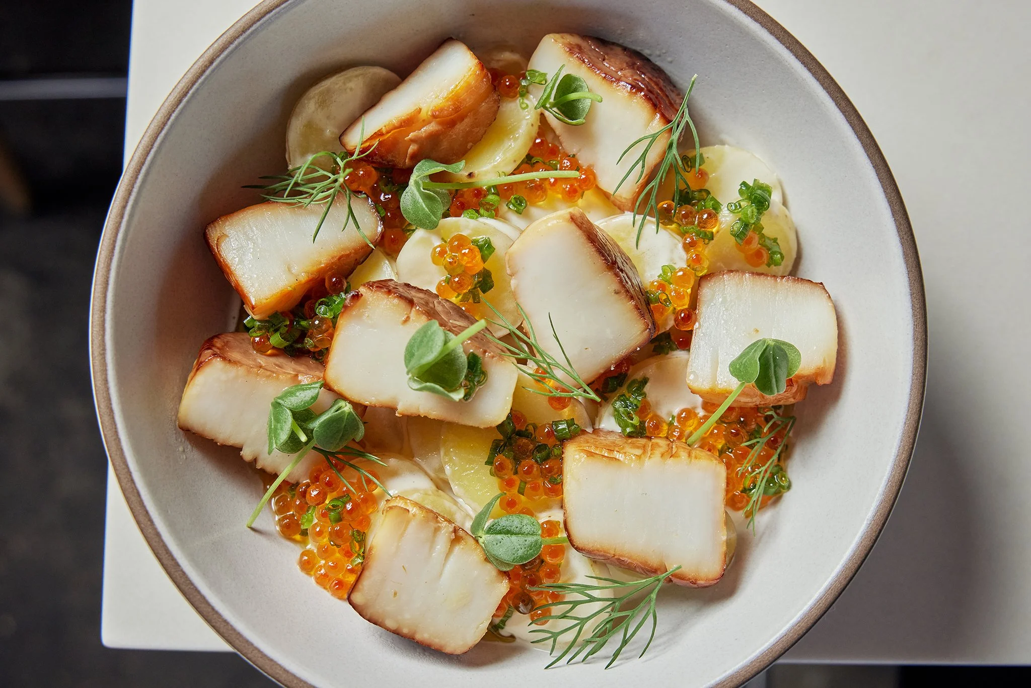 CHICKADEE_BRIAN SAMUELS PHOTOGRAPHY_OCTOBER 2022-IMG_3054 copy.jpg