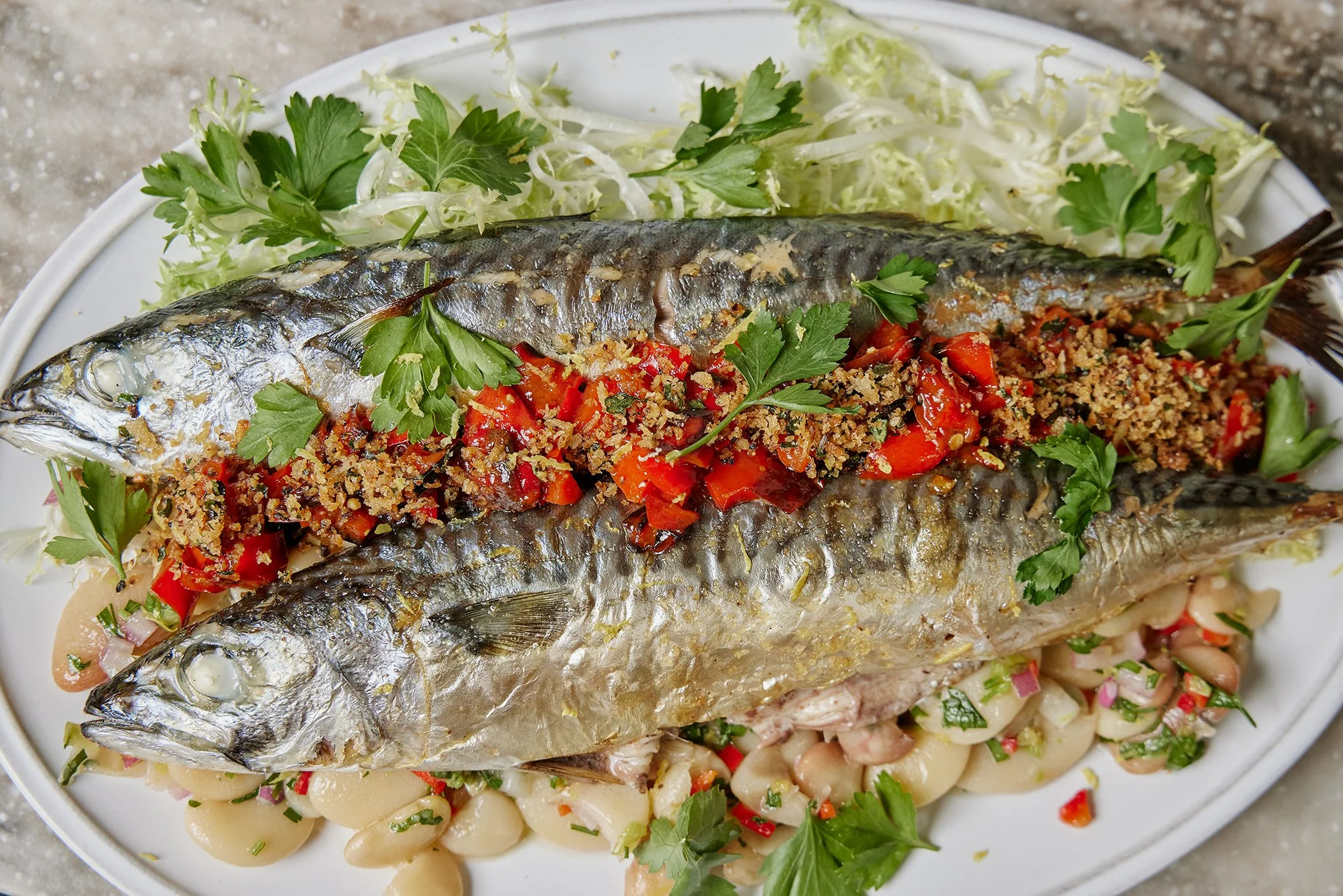 TONINO_BRIAN SAMUELS PHOTOGRAPHY_OCTOBER 2022-IMG_1570 copy.jpg