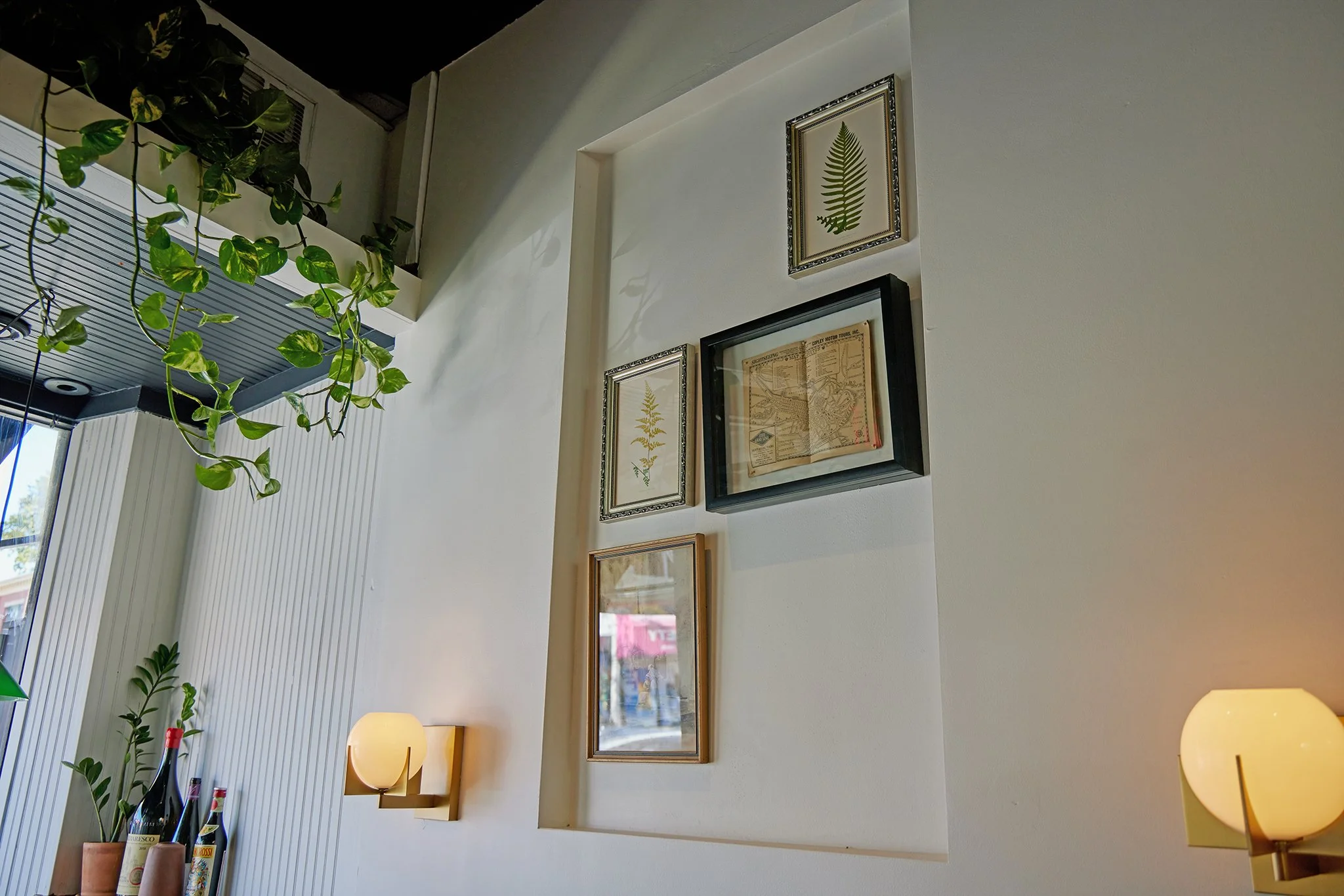 TONINO_BRIAN SAMUELS PHOTOGRAPHY_OCTOBER 2022-IMG_1781 copy.jpg