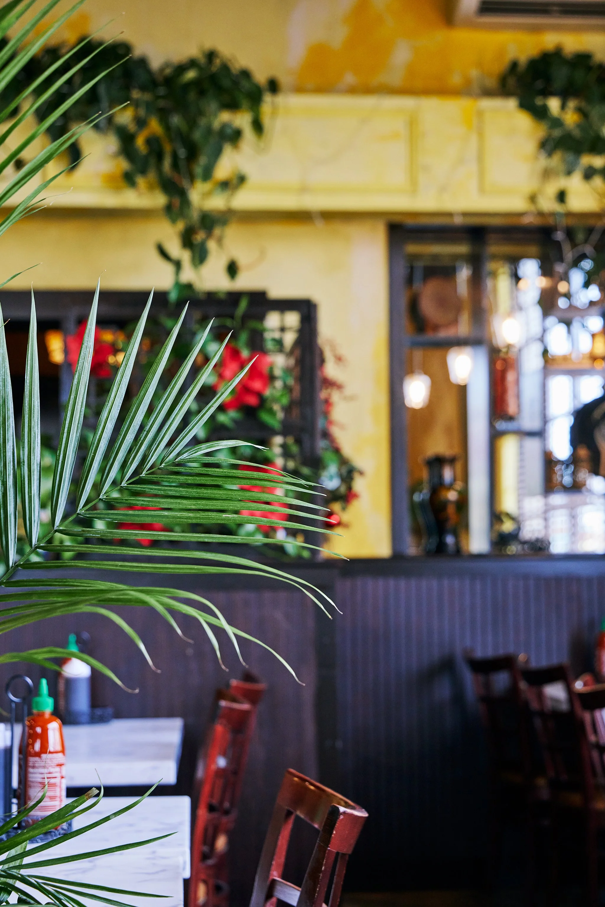 PHO LINH_BRIAN SAMUELS PHOTOGRAPHY_DECEMBER 2022-IMG_1813 copy.jpg