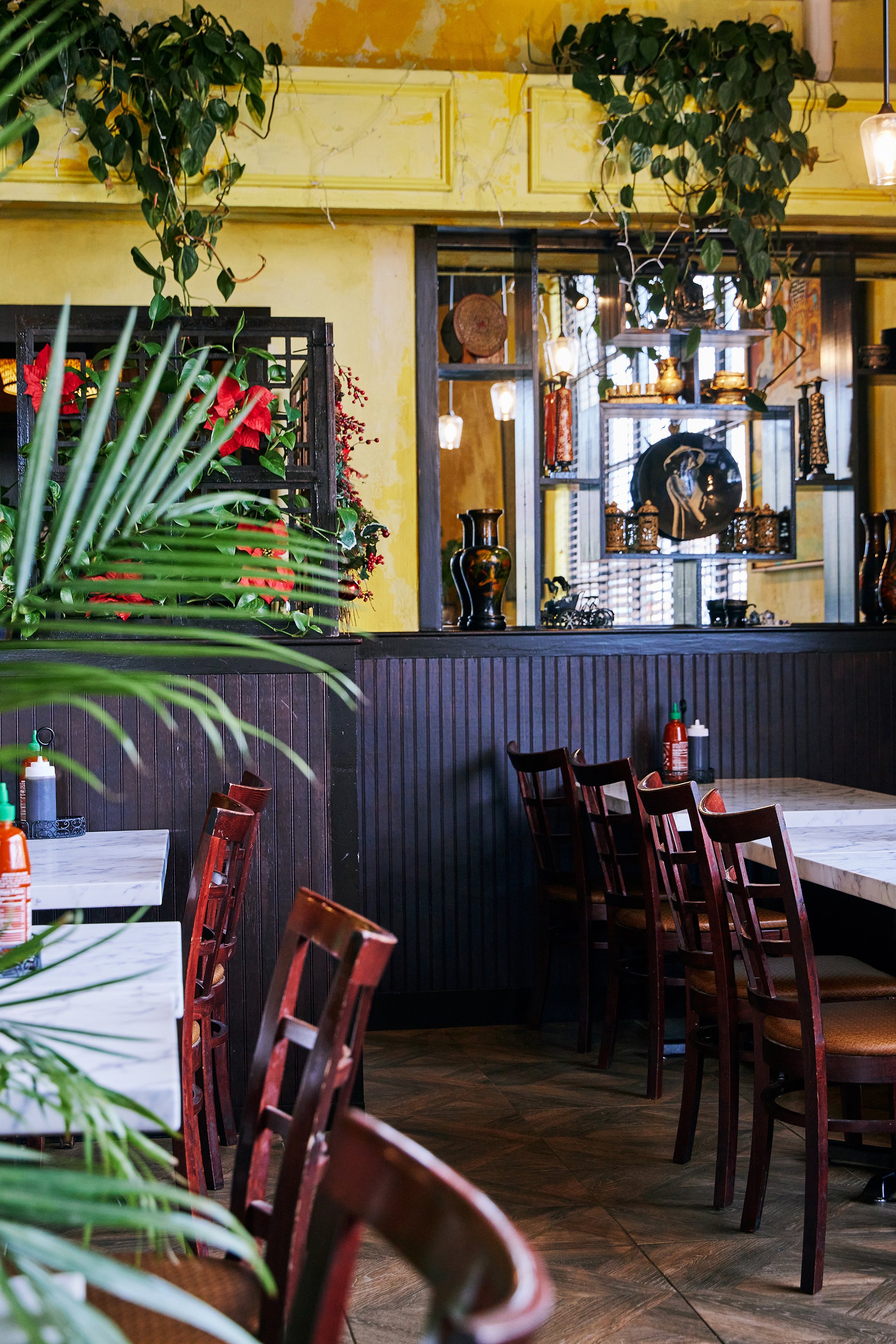 PHO LINH_BRIAN SAMUELS PHOTOGRAPHY_DECEMBER 2022-IMG_1817 copy.jpg