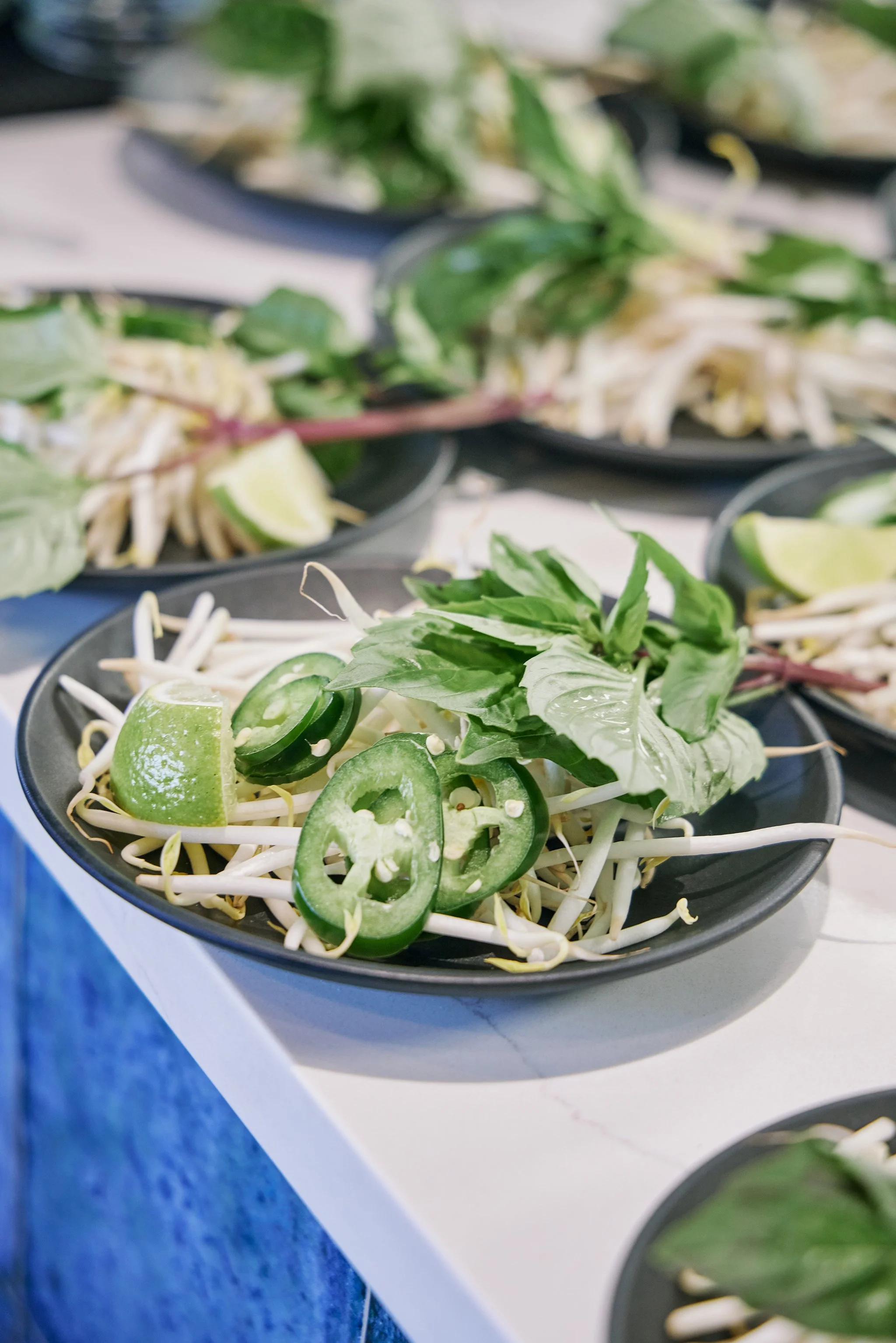 PHO LINH_BRIAN SAMUELS PHOTOGRAPHY_DECEMBER 2022-IMG_1934 copy.jpg