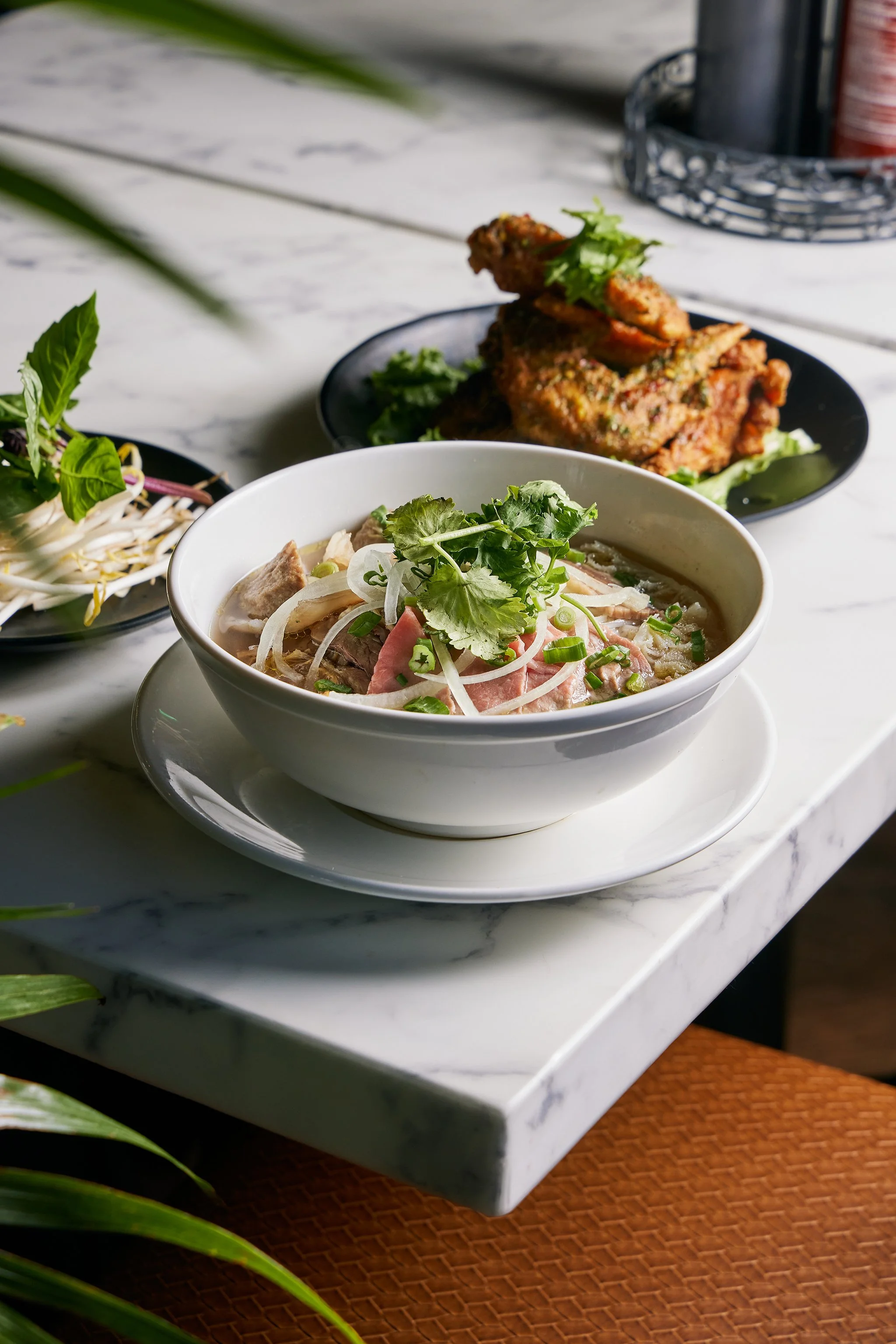 PHO LINH_BRIAN SAMUELS PHOTOGRAPHY_DECEMBER 2022-IMG_2052 copy.jpg