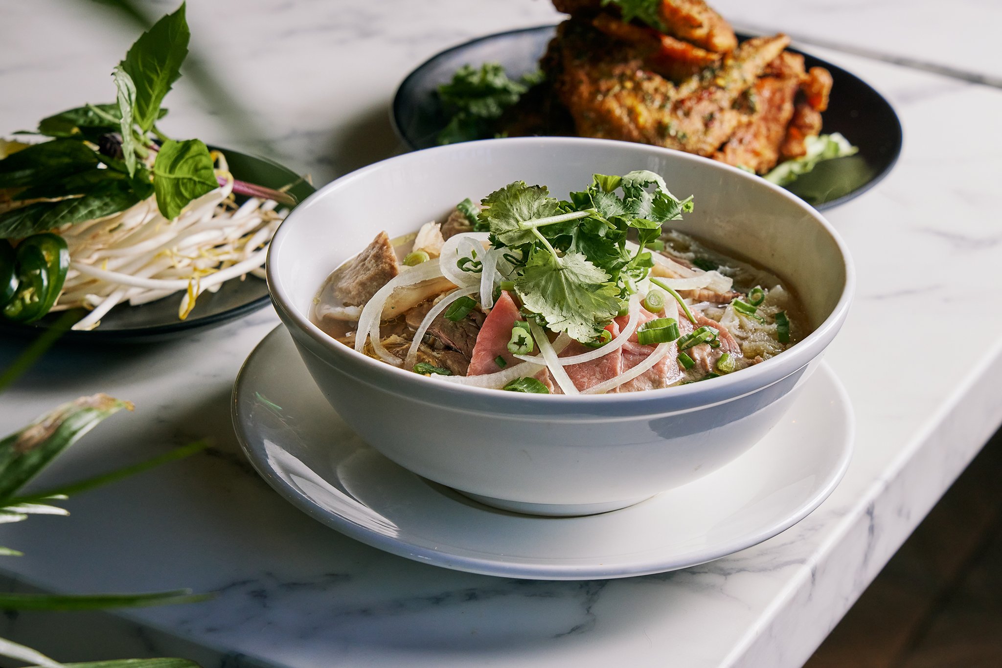 PHO LINH_BRIAN SAMUELS PHOTOGRAPHY_DECEMBER 2022-IMG_2060 copy.jpg