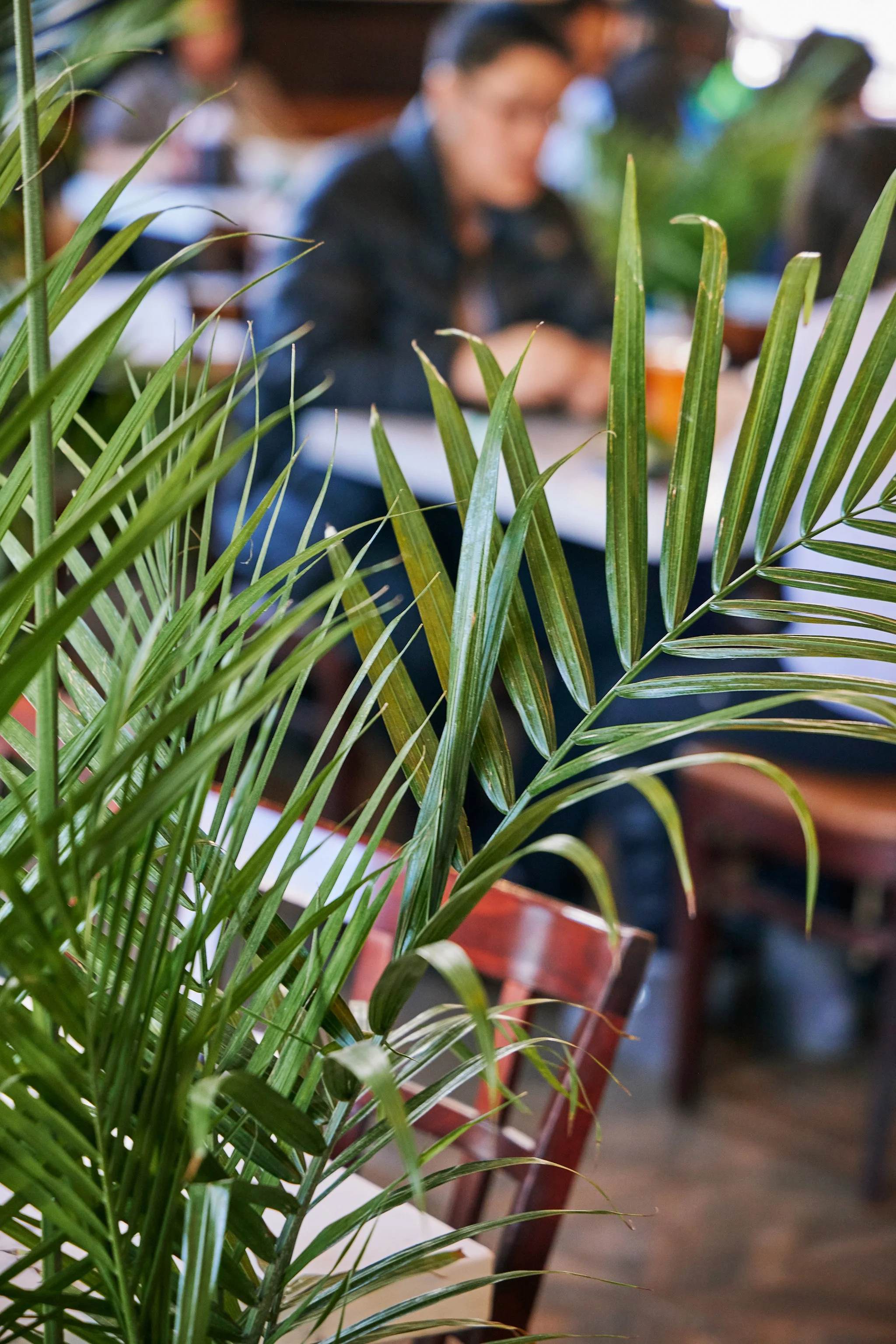 PHO LINH_BRIAN SAMUELS PHOTOGRAPHY_DECEMBER 2022-IMG_2113 copy.jpg