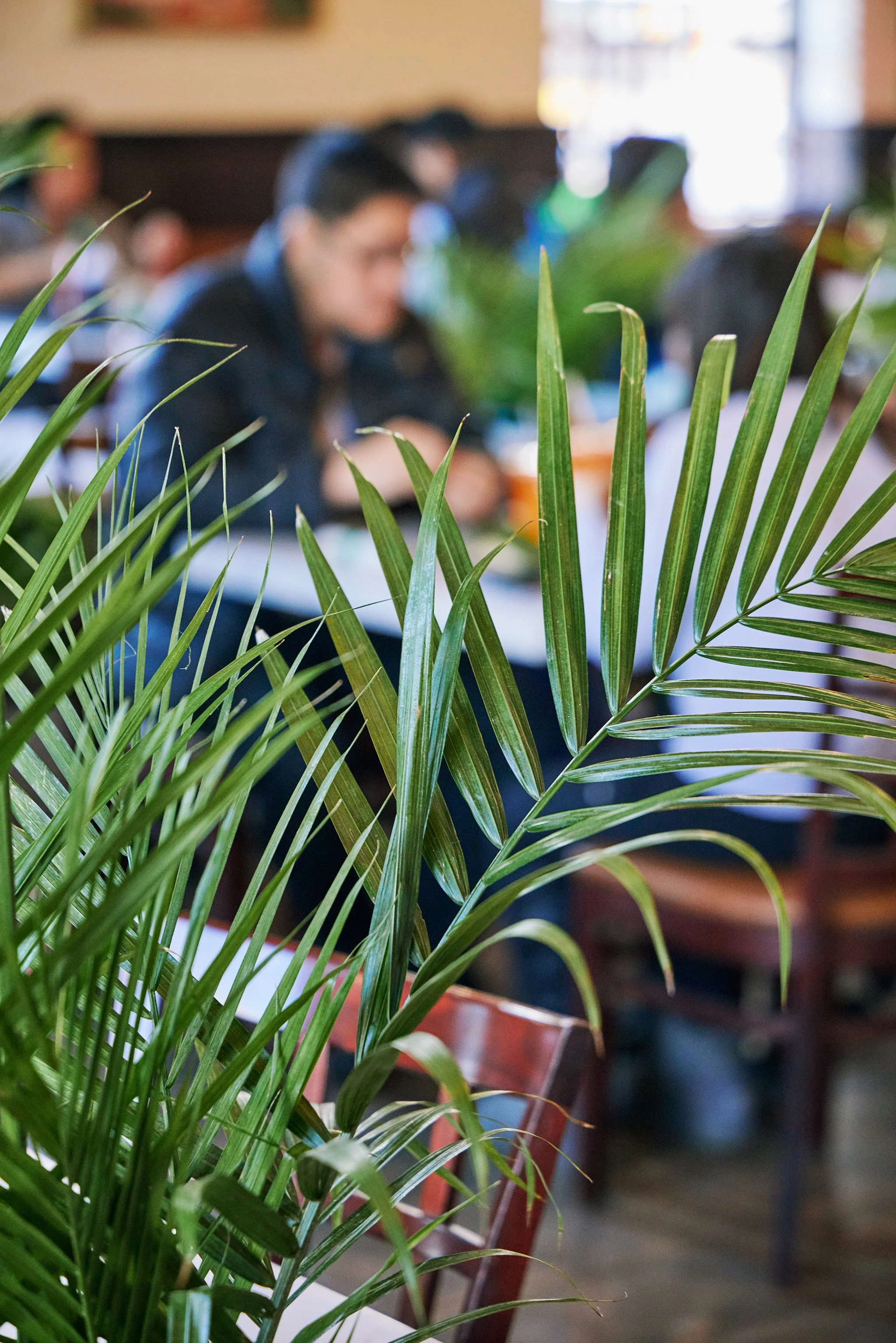 PHO LINH_BRIAN SAMUELS PHOTOGRAPHY_DECEMBER 2022-IMG_2133 copy.jpg