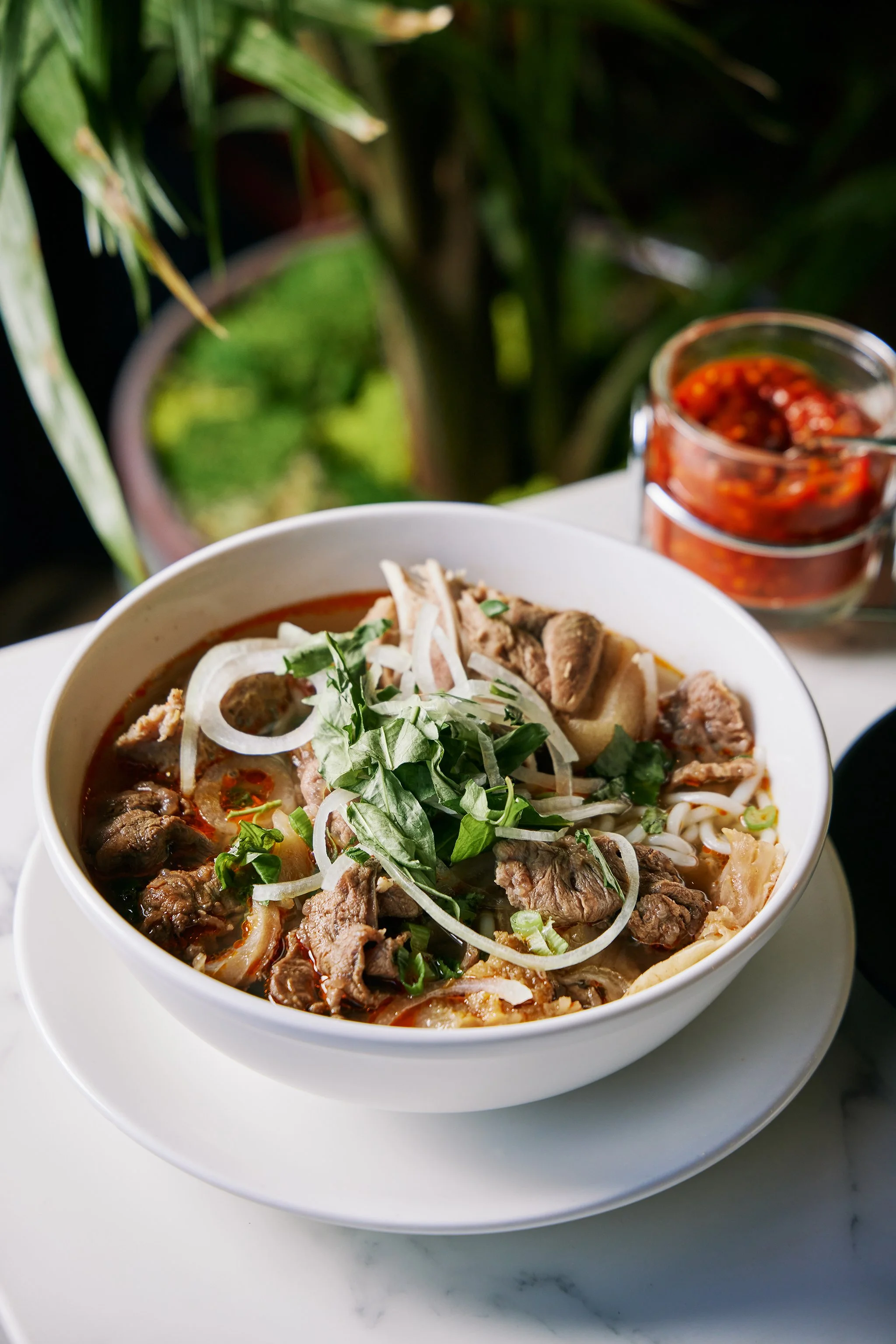 PHO LINH_BRIAN SAMUELS PHOTOGRAPHY_DECEMBER 2022-IMG_2156 copy.jpg