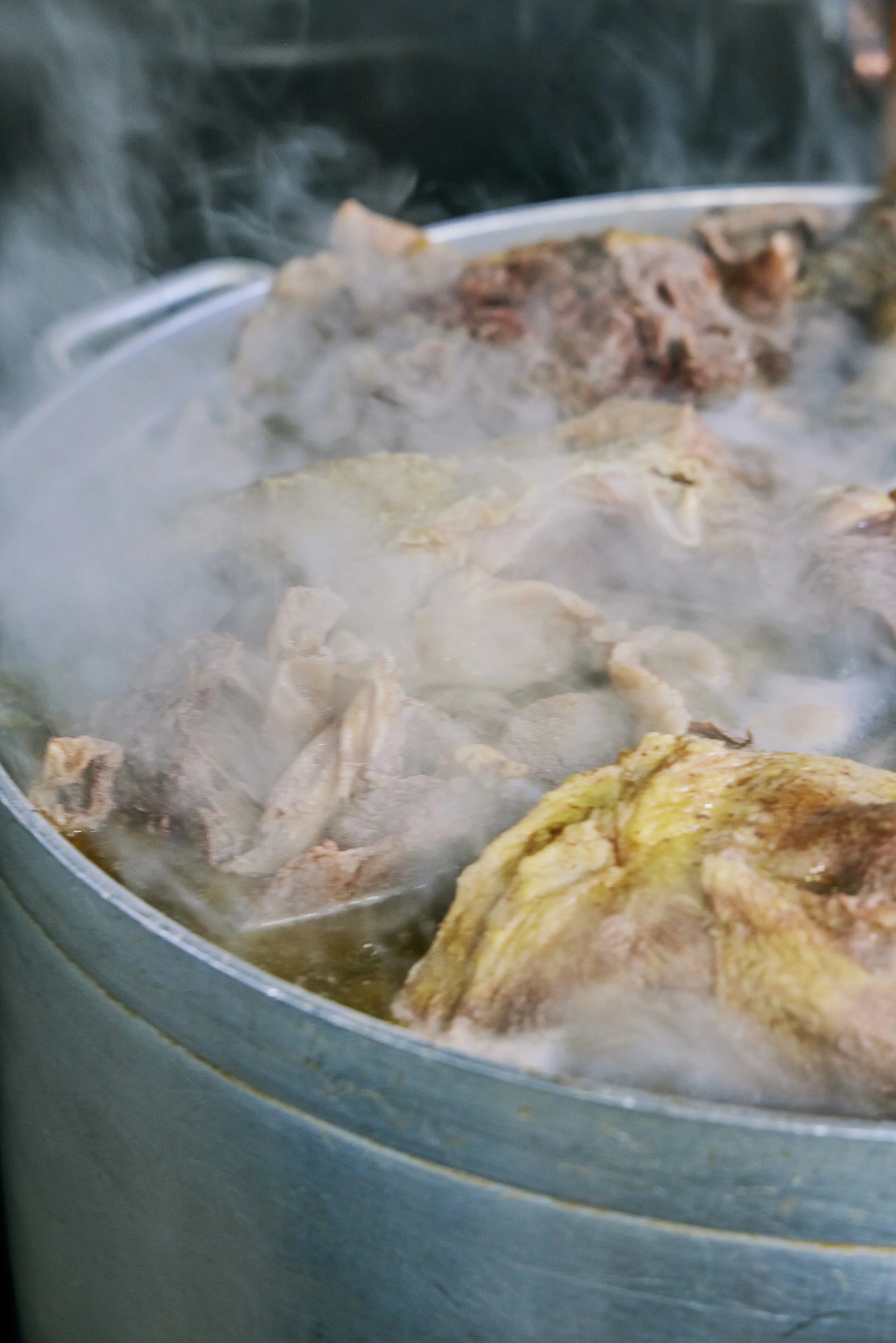 PHO LINH_BRIAN SAMUELS PHOTOGRAPHY_DECEMBER 2022-IMG_2546 copy.jpg