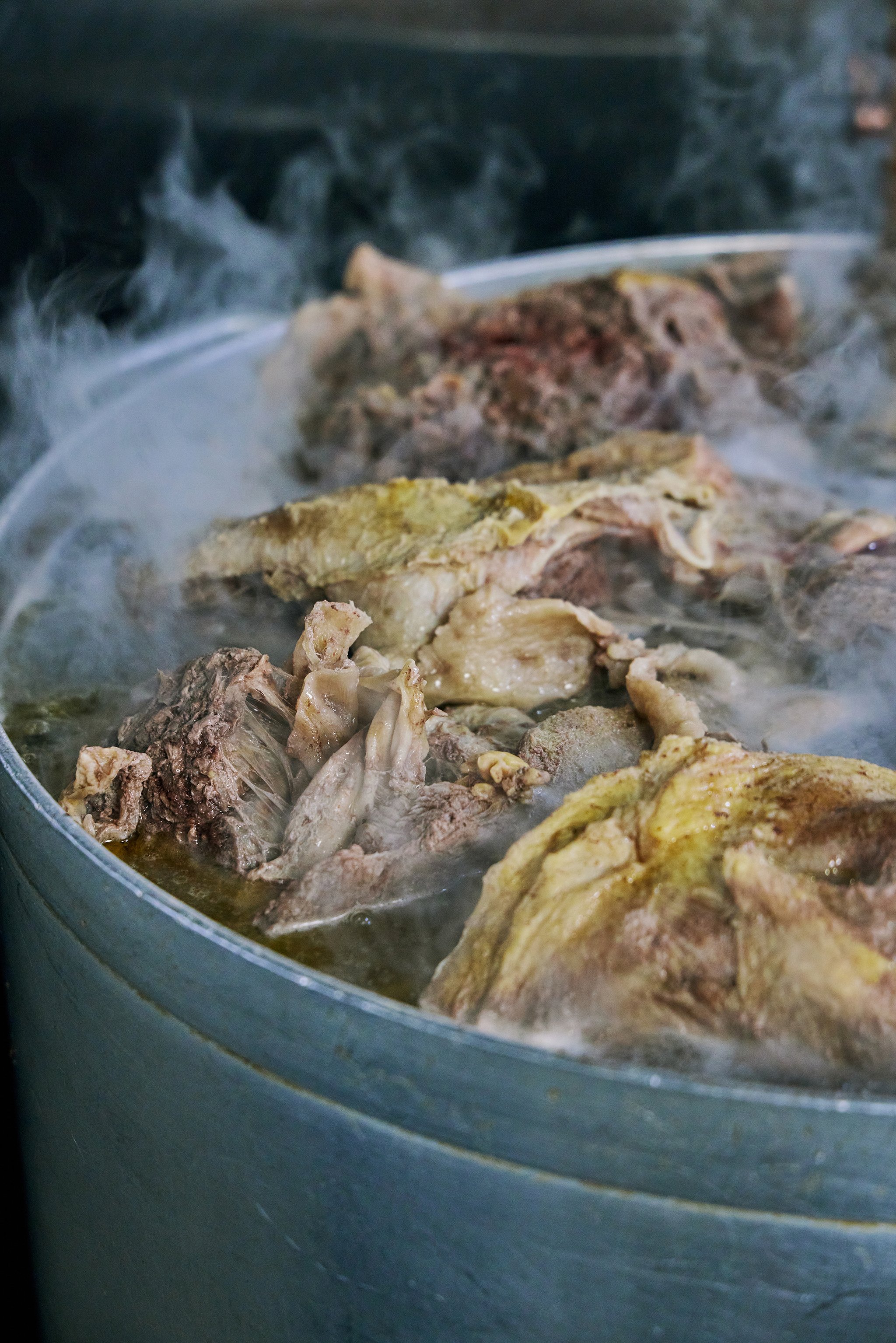 PHO LINH_BRIAN SAMUELS PHOTOGRAPHY_DECEMBER 2022-IMG_2569 copy.jpg