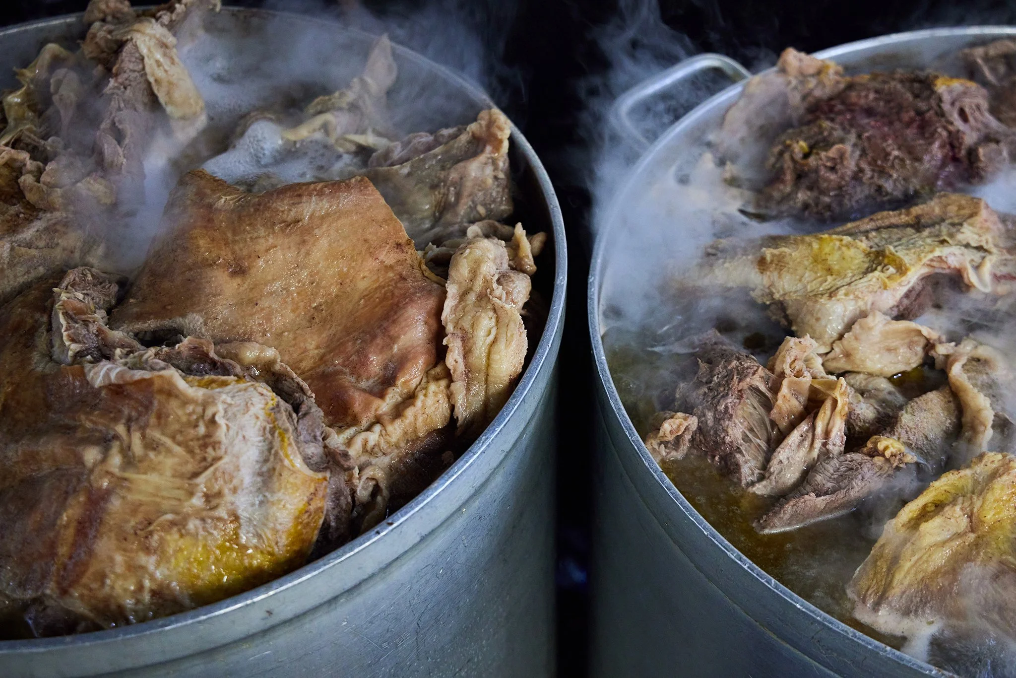 PHO LINH_BRIAN SAMUELS PHOTOGRAPHY_DECEMBER 2022-IMG_2622 copy.jpg