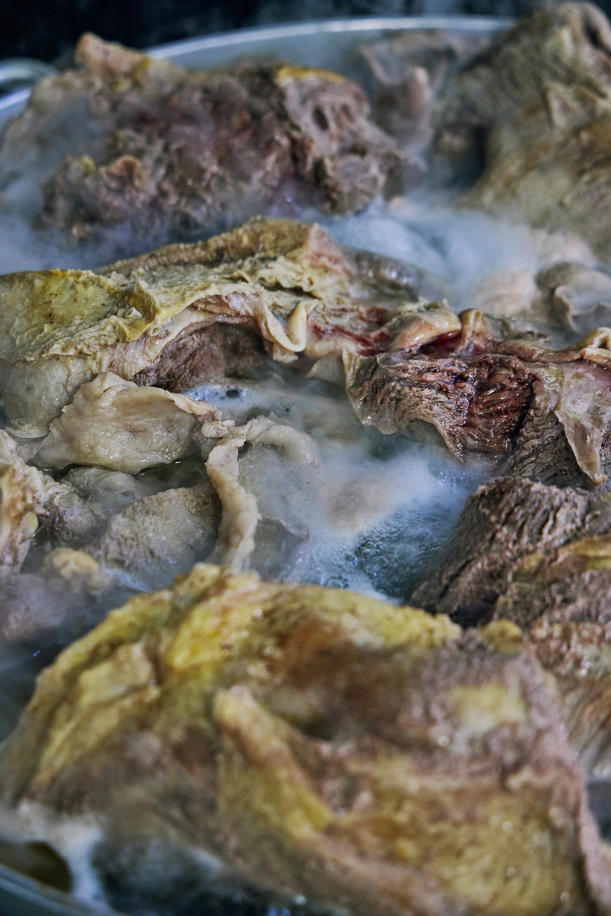 PHO LINH_BRIAN SAMUELS PHOTOGRAPHY_DECEMBER 2022-IMG_2629 copy.jpg