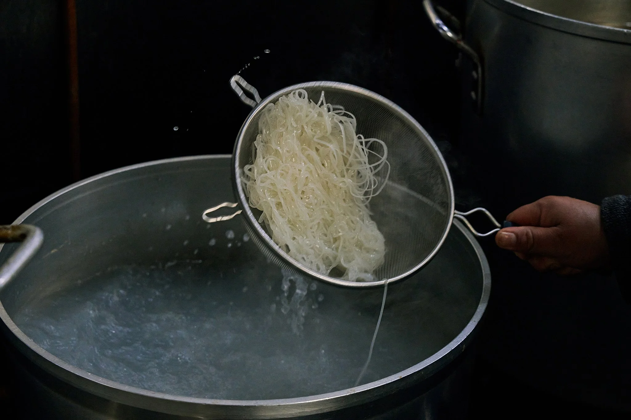 PHO LINH_BRIAN SAMUELS PHOTOGRAPHY_DECEMBER 2022-IMG_2678 copy.jpg