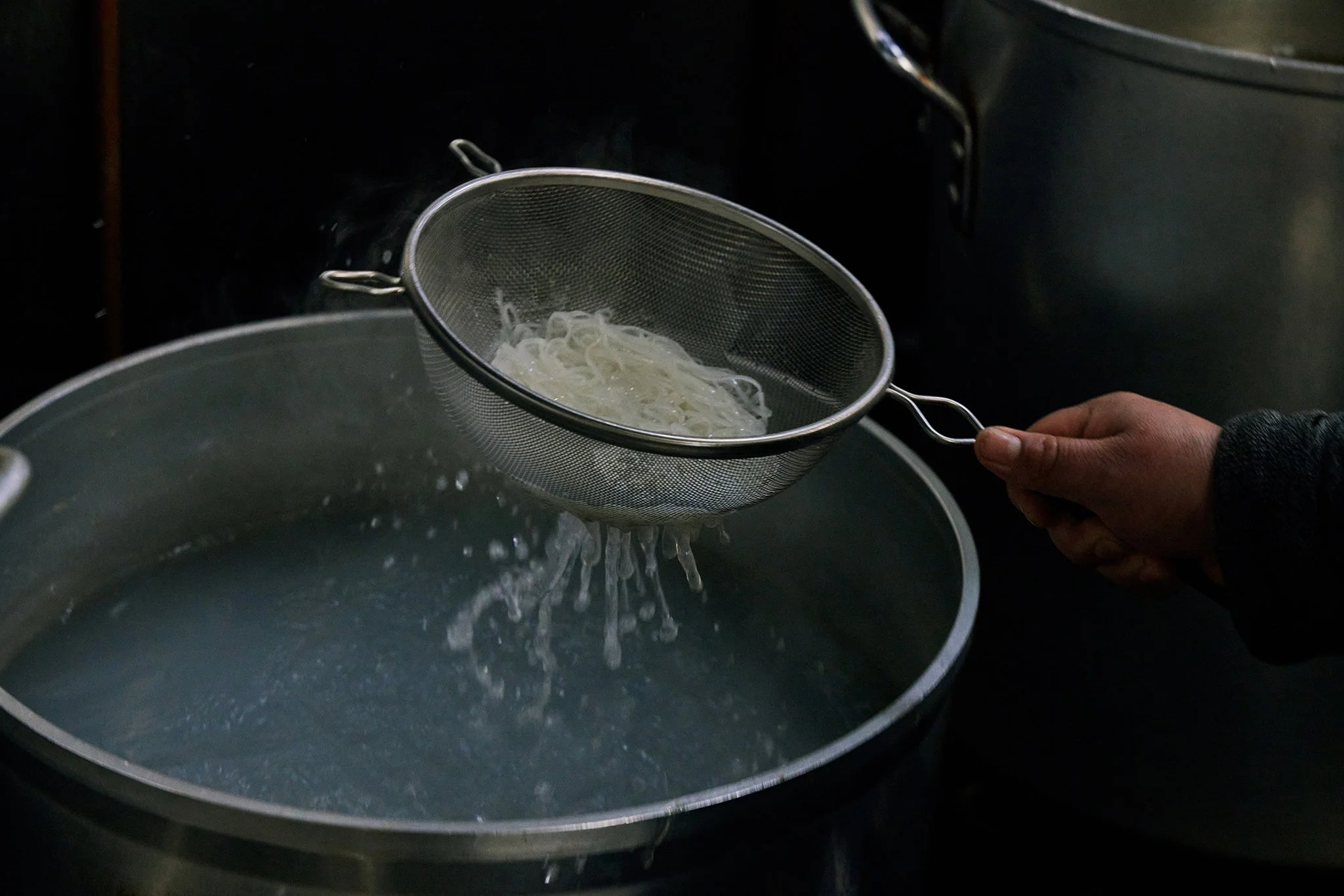 PHO LINH_BRIAN SAMUELS PHOTOGRAPHY_DECEMBER 2022-IMG_2721 copy.jpg